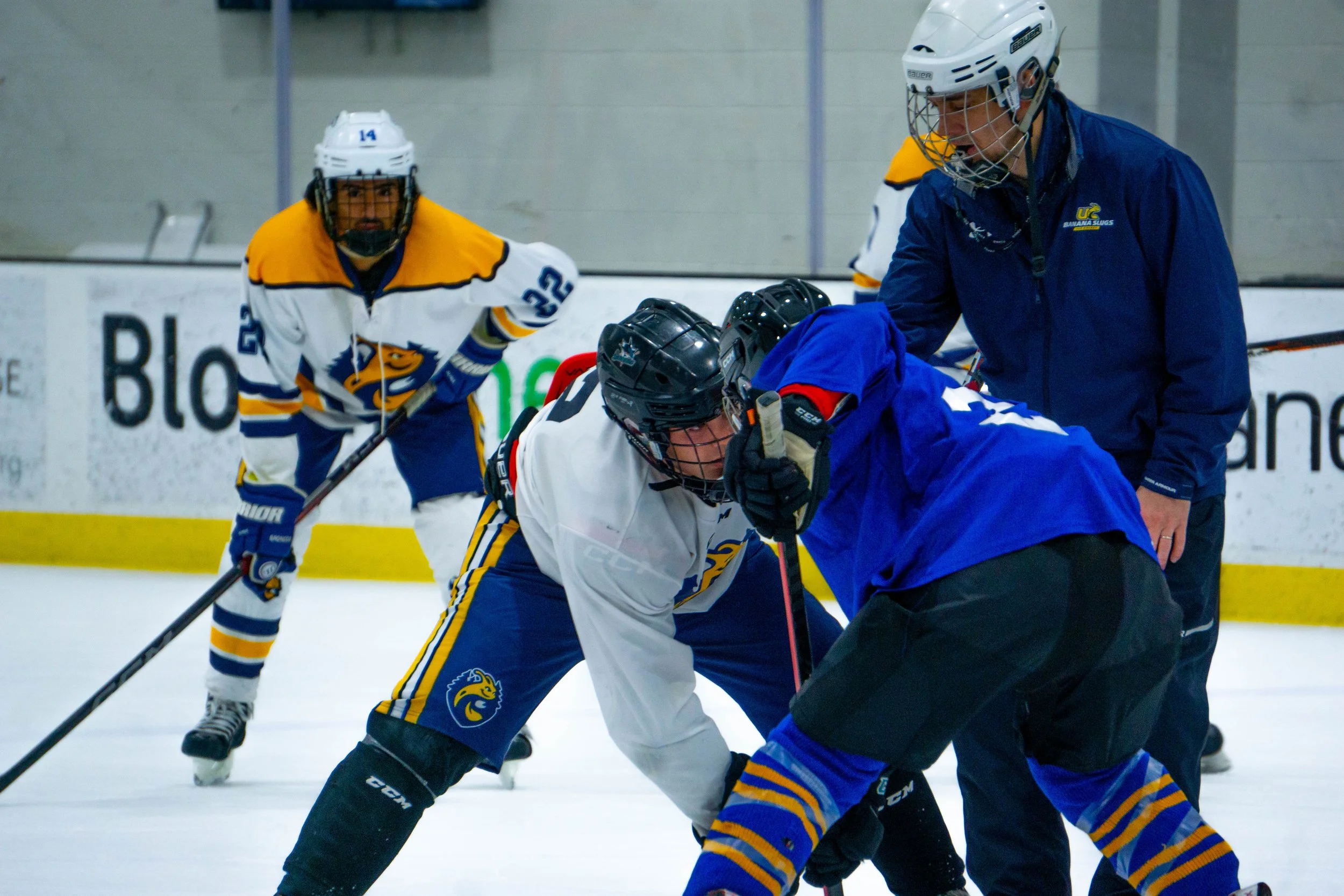 UCSC Ice Hockey (2024)