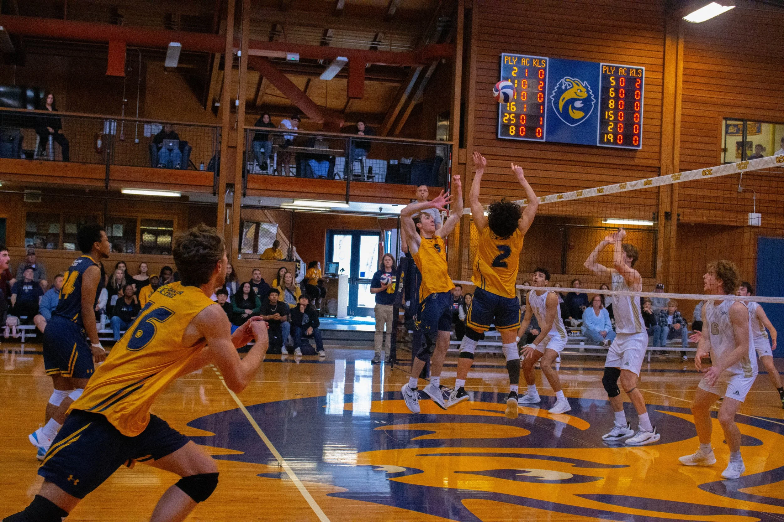 UCSC Men's Volleyball (2023)