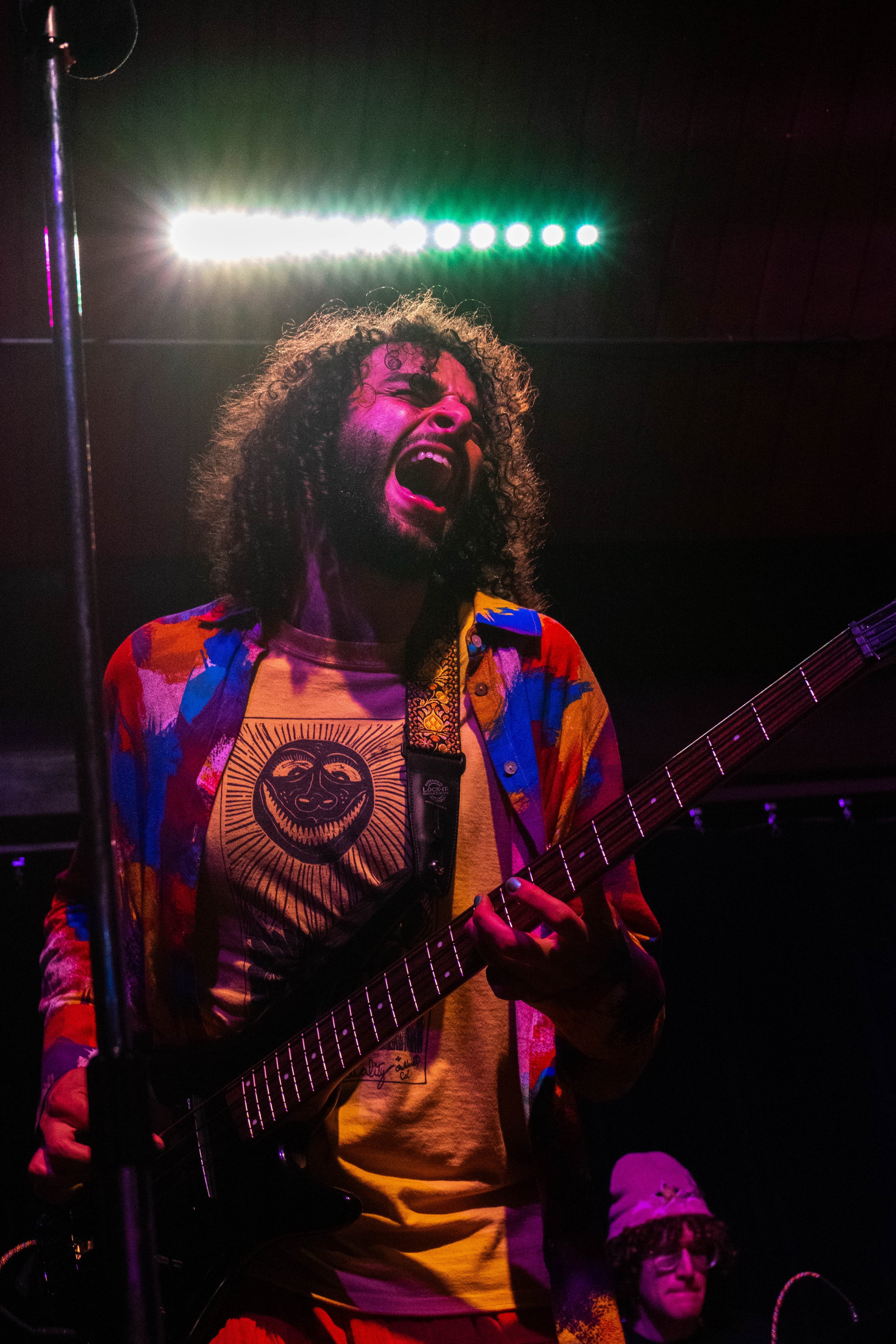 Dormroom Capybaras 2023