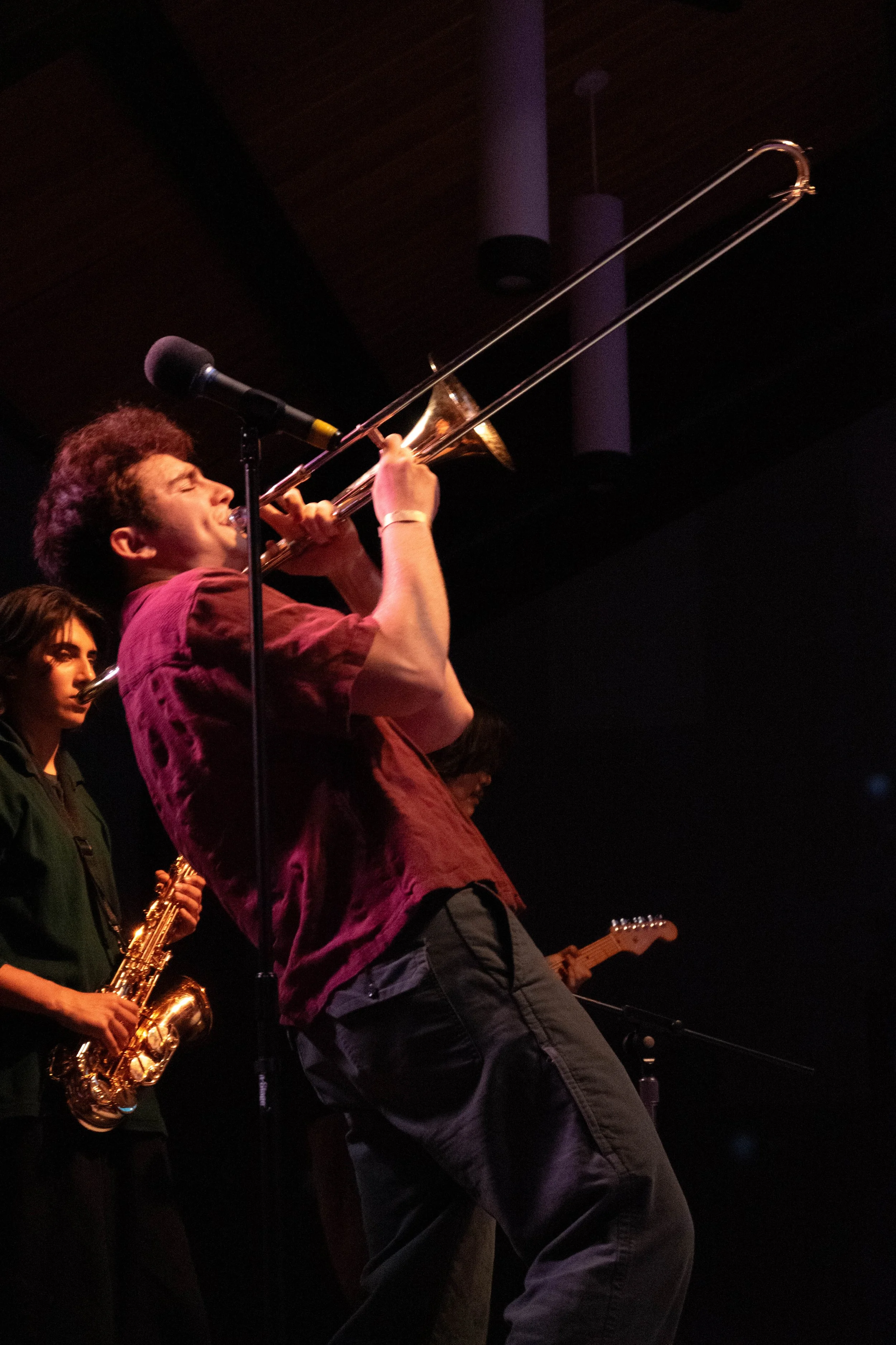 Dormroom Capybaras 2023