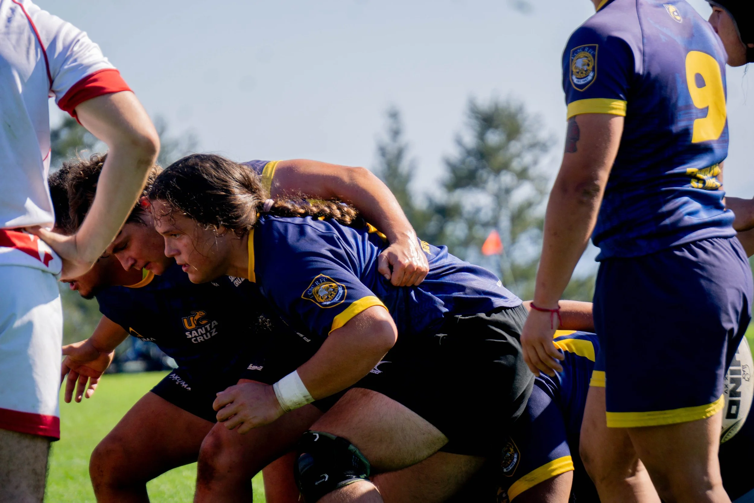 UCSC Men's Rugby (2023)