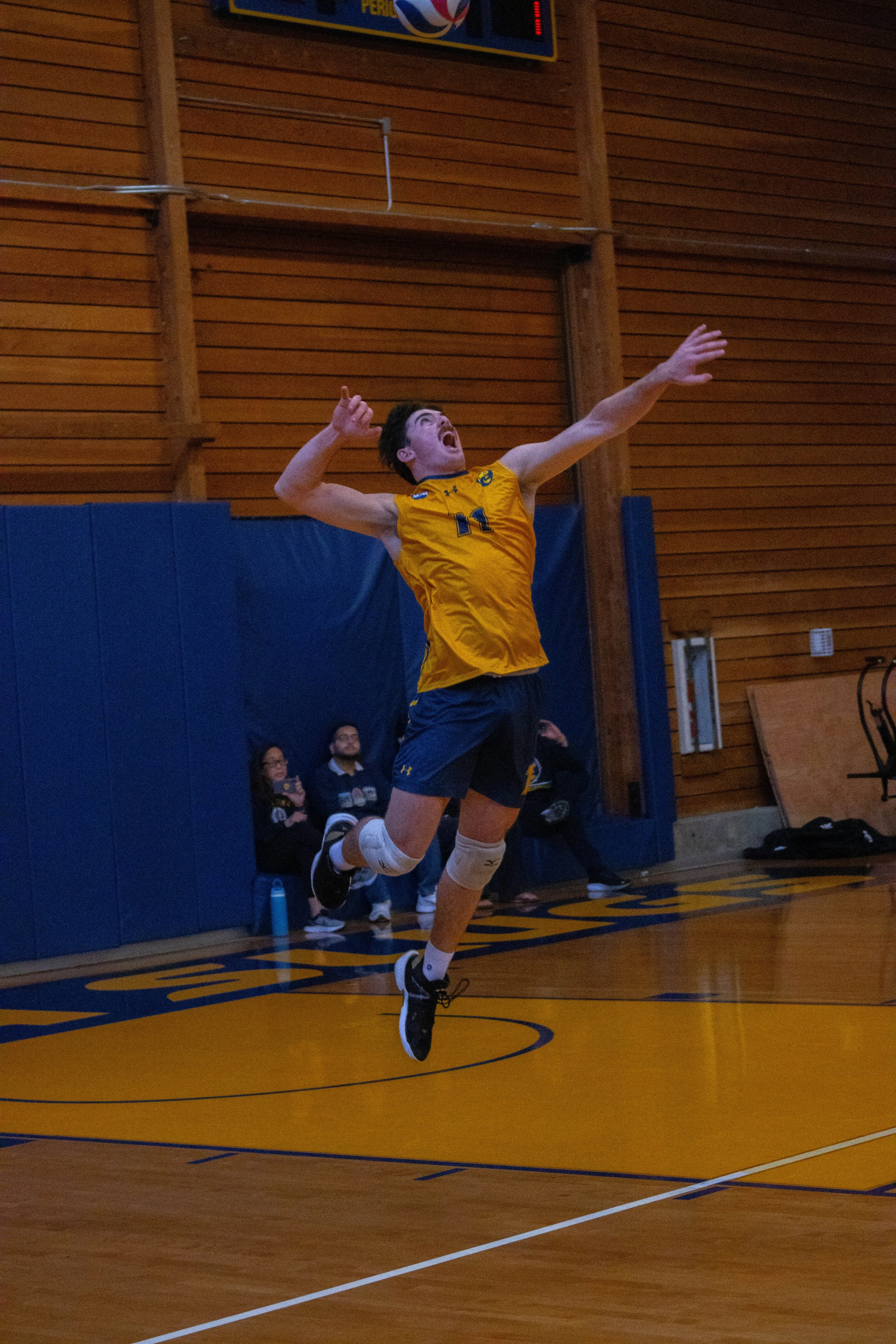 UCSC Men's Volleyball (2023)