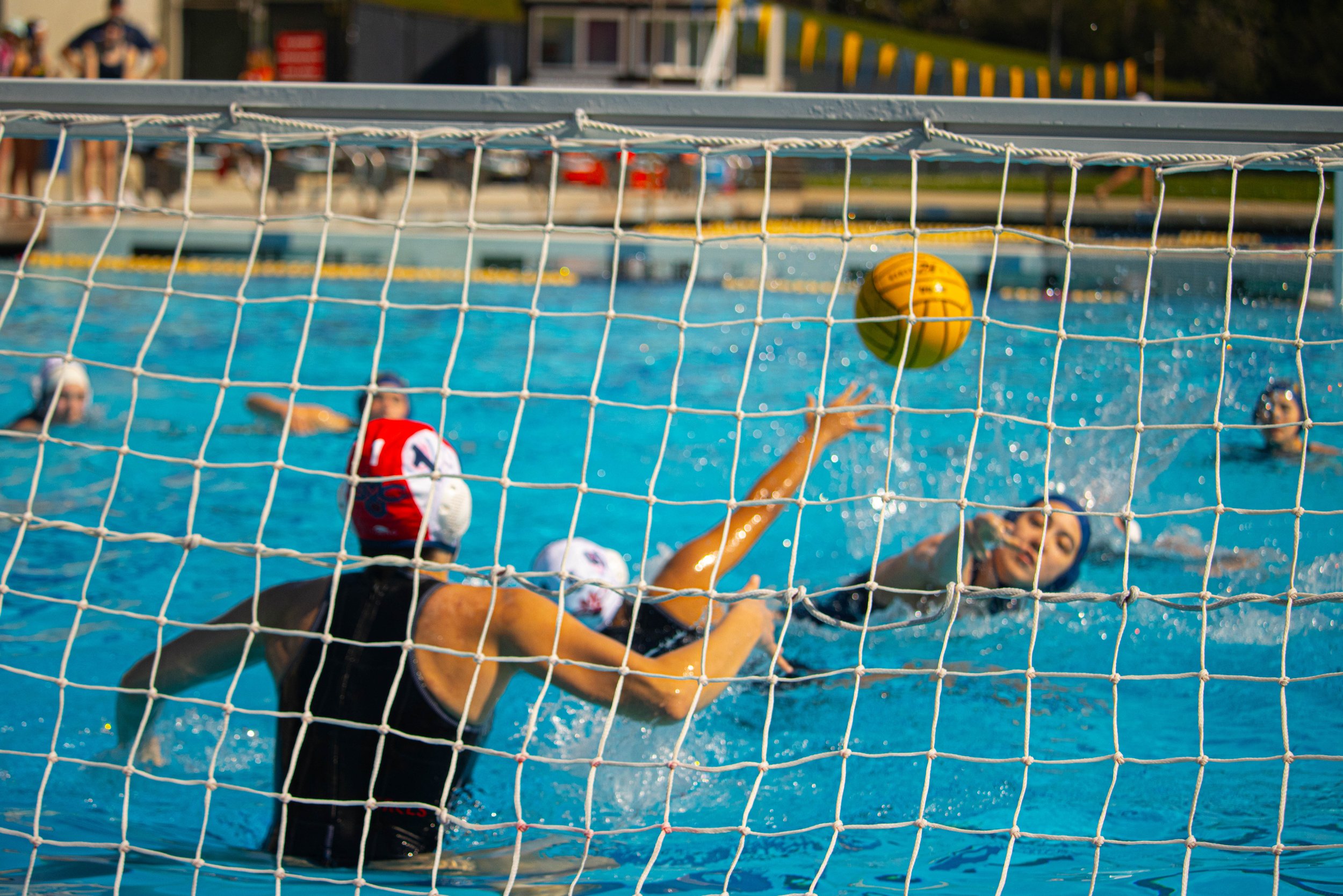UCSC Womens Water Polo (2024)