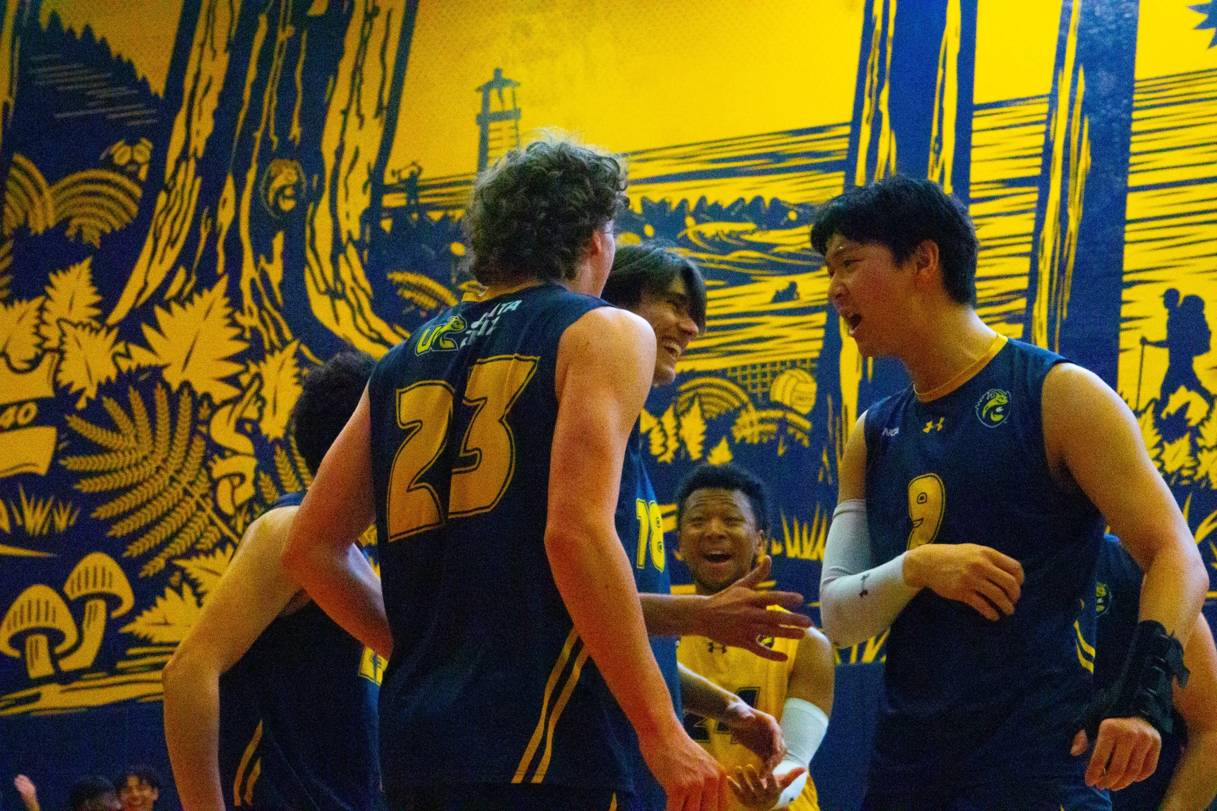 UCSC Men's Volleyball (2023)
