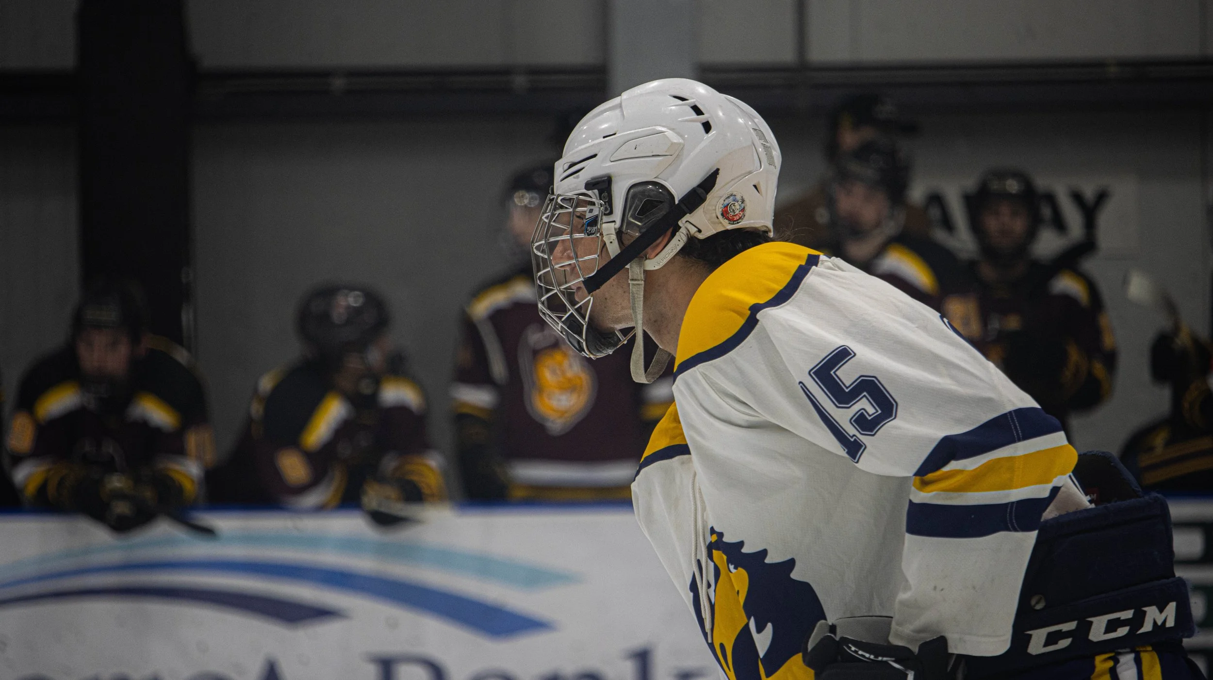 UCSC Ice Hockey (2024)