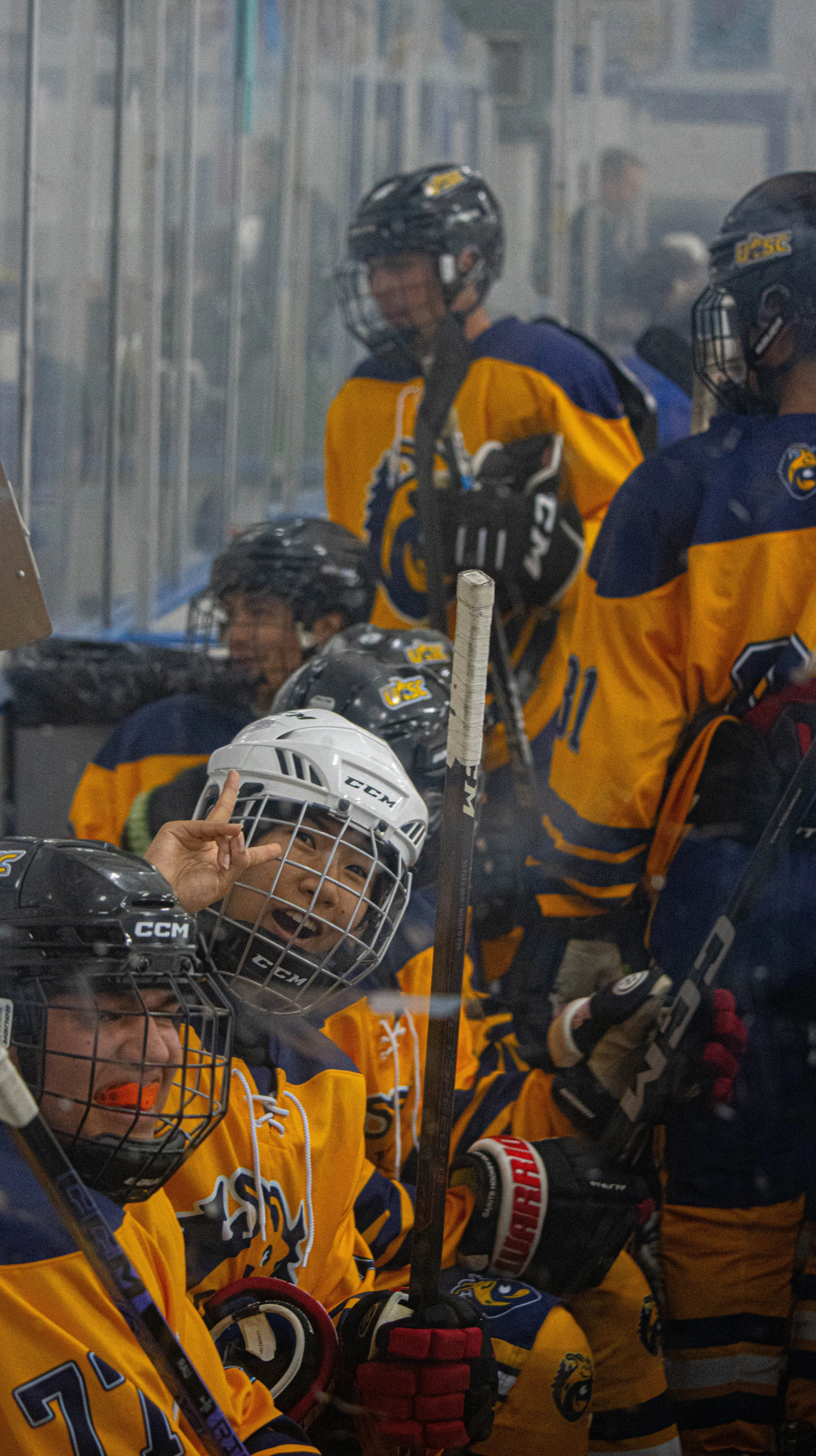 UCSC Ice Hockey (2024