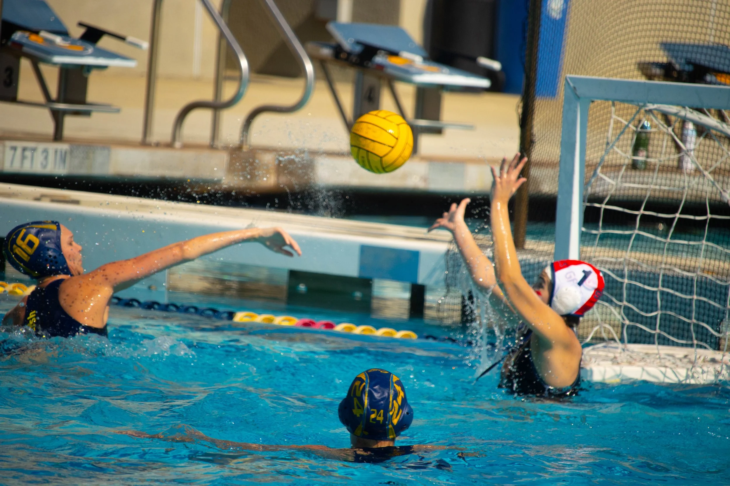UCSC Womens Water Polo (2024)