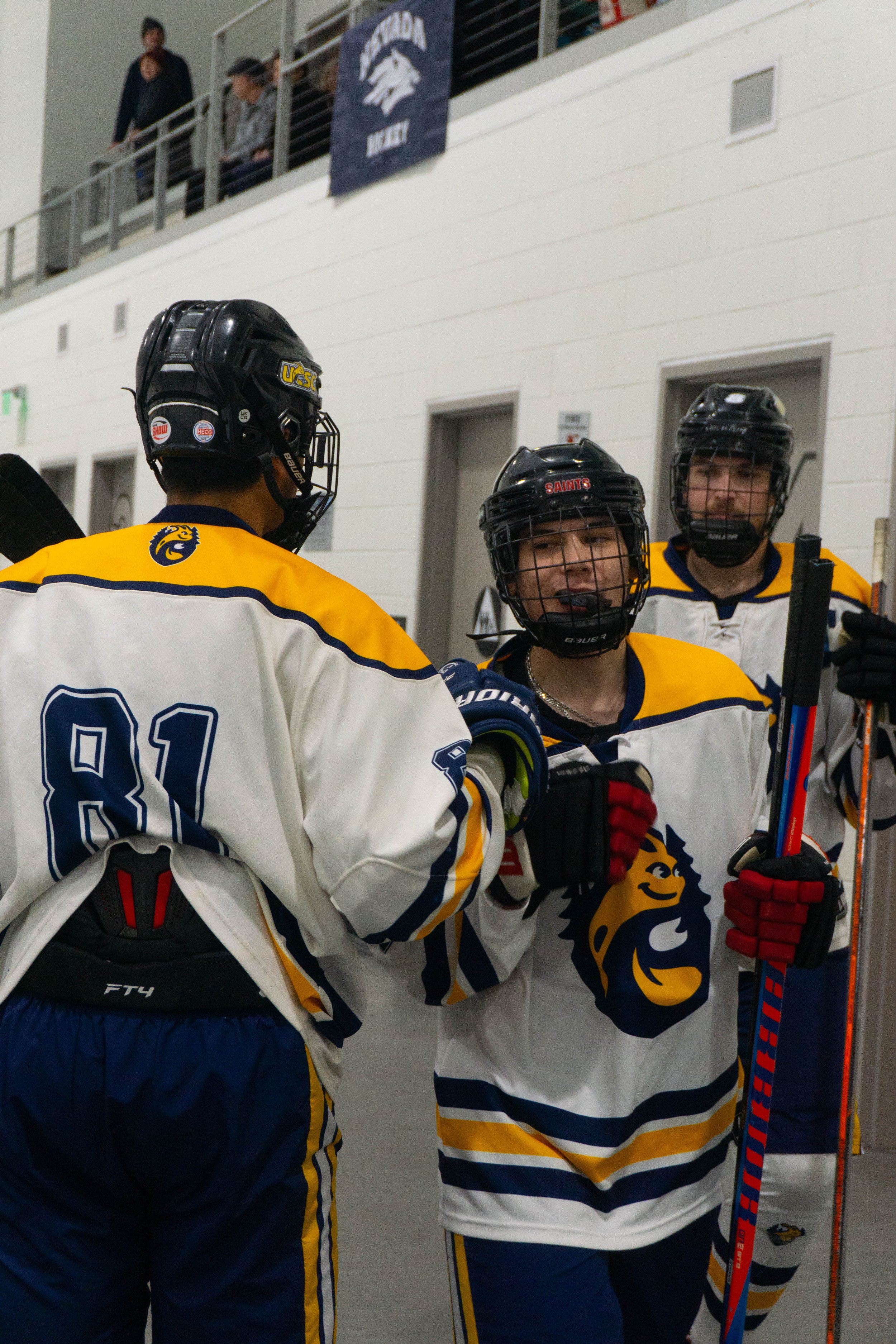 UCSC Ice Hockey (2026)