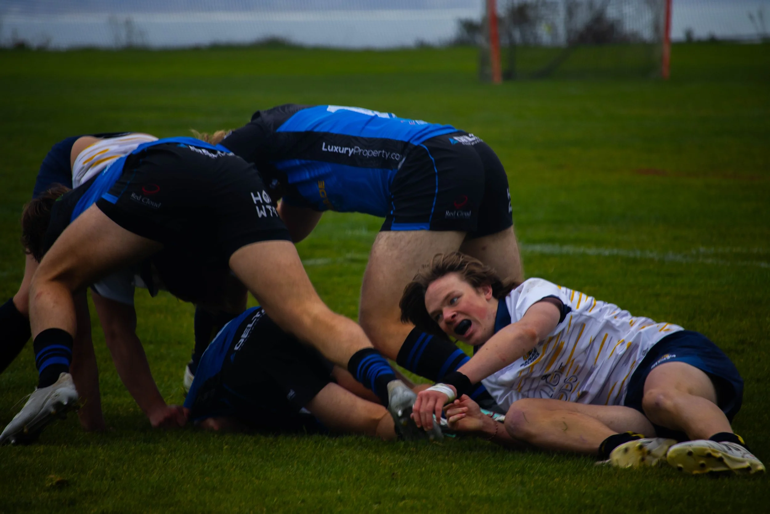 UCSC Men's Rugby (2023)