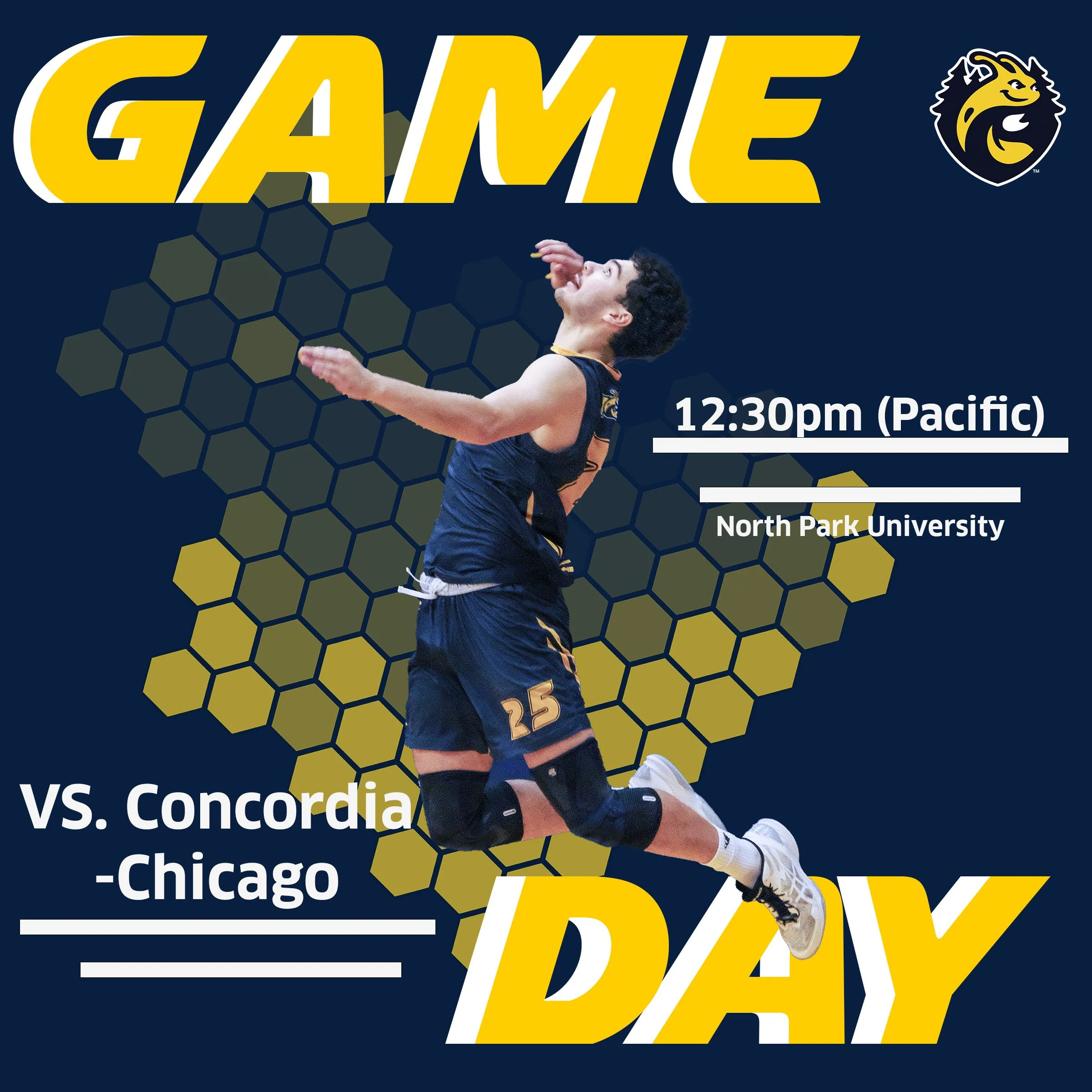 Graphic Design For Social Media (2023)