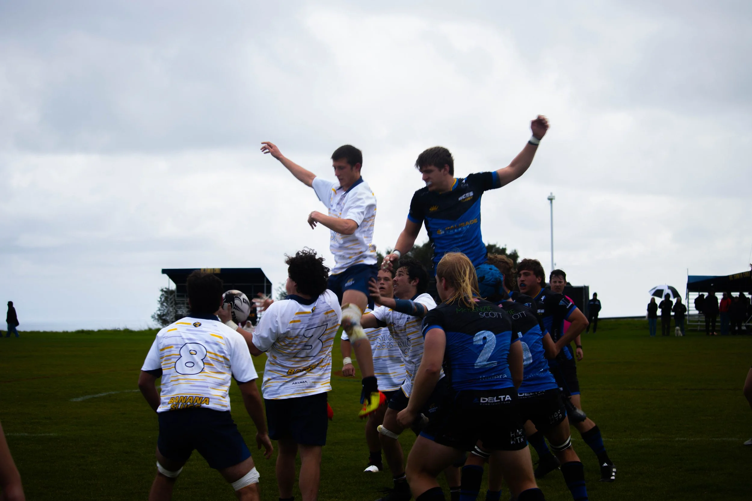 UCSC Men's Rugby (2023)