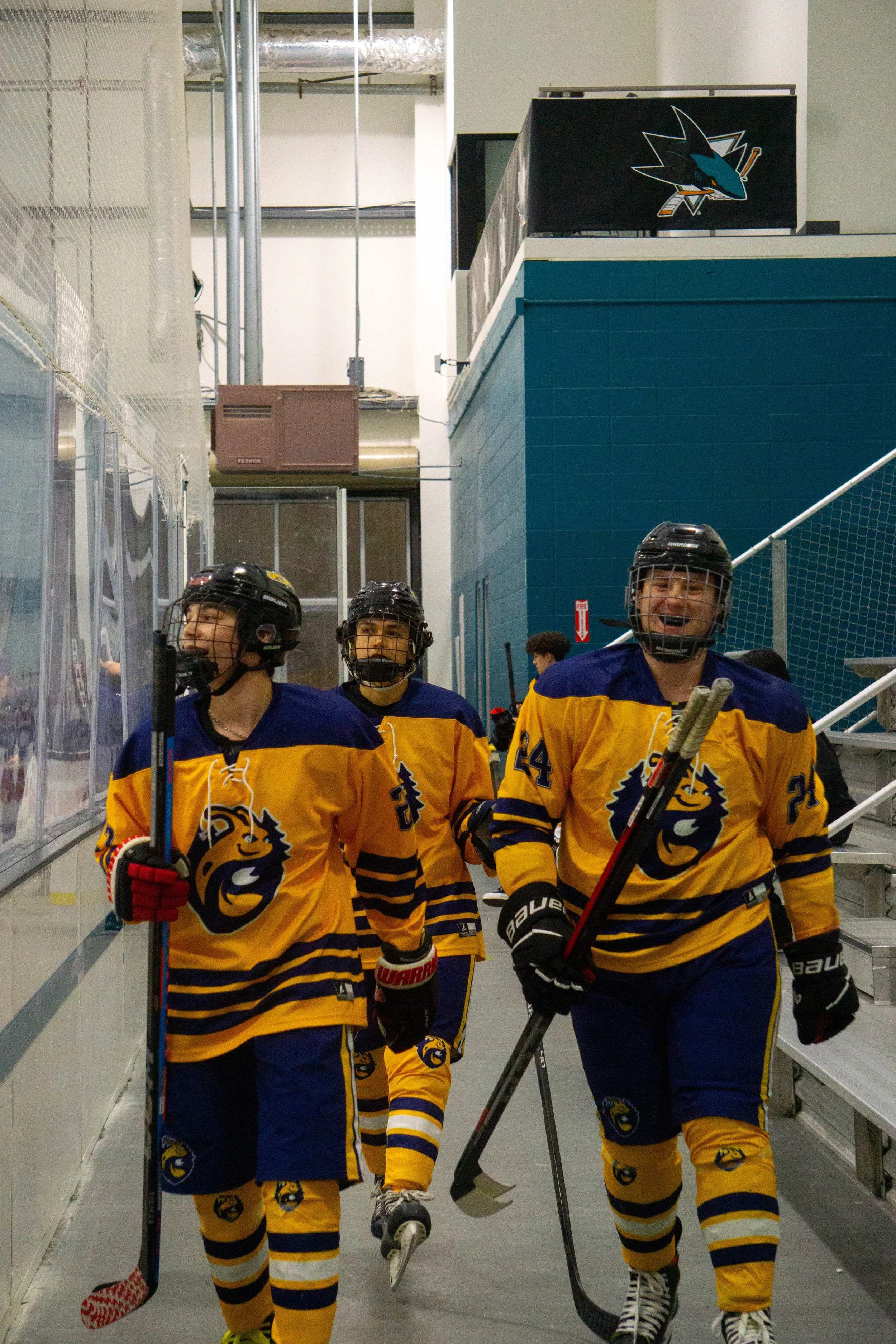 UCSC Ice Hockey (2026)