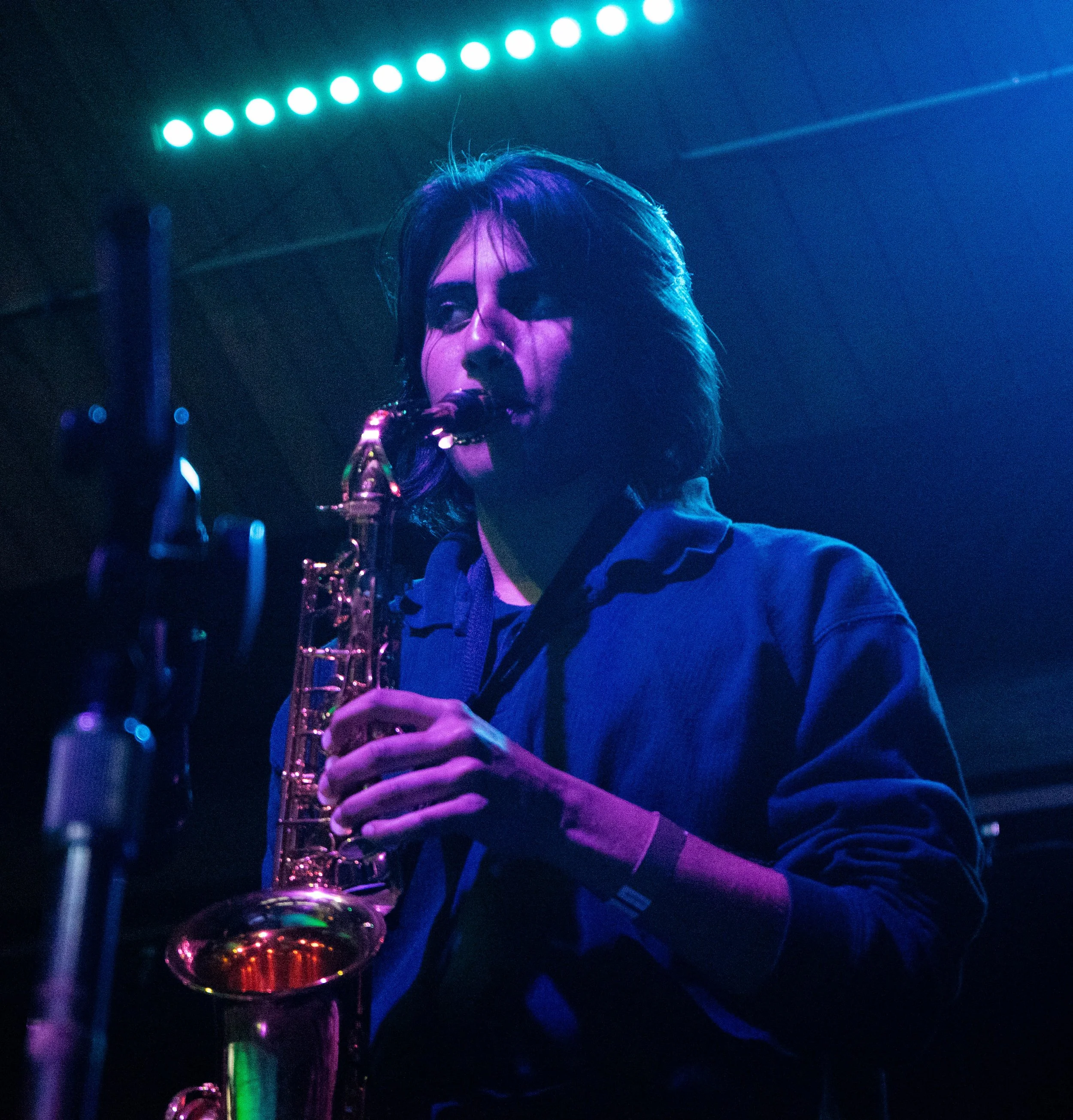 Dormroom Capybaras 2023