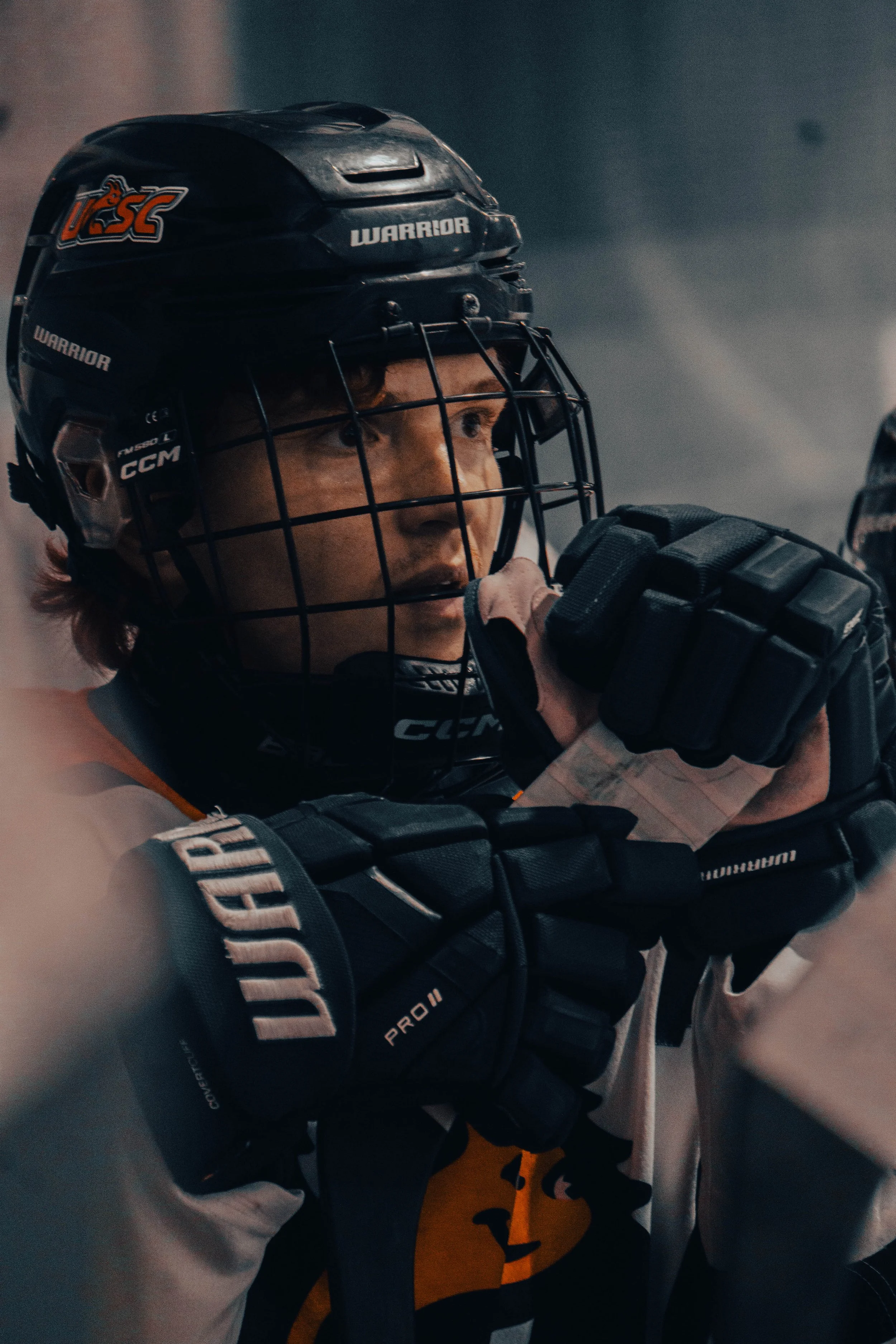 UCSC Ice Hockey (2026)