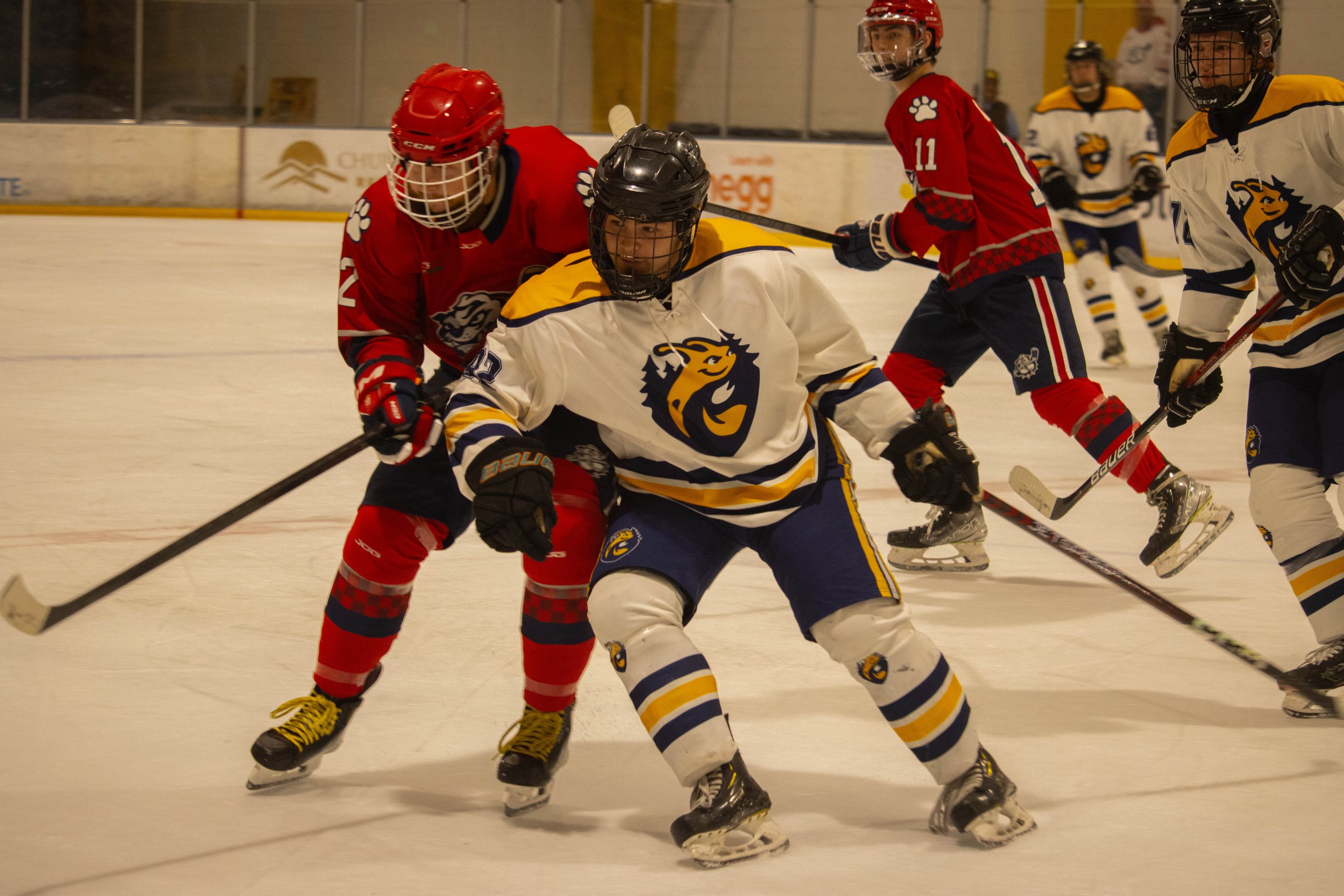 UCSC Ice Hockey (2023)