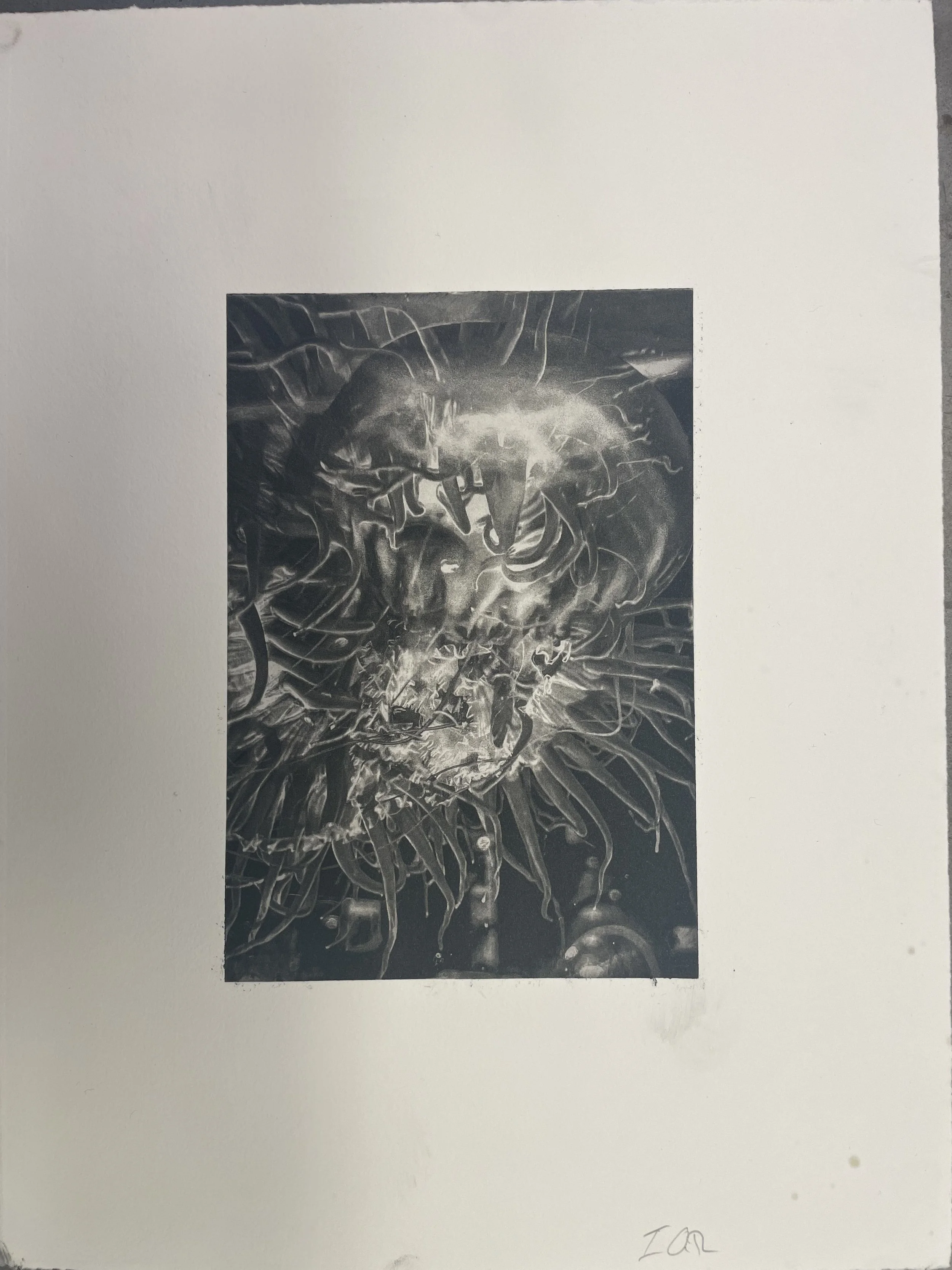 B&W Photopolymer Of  Sea Creature (2025)