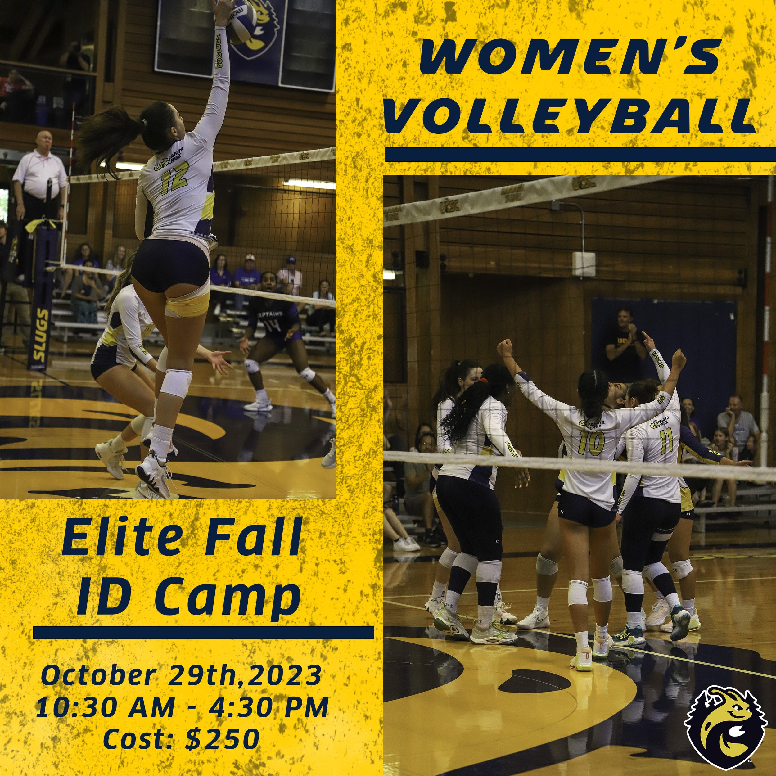 Graphic Design For Social Media (2023)