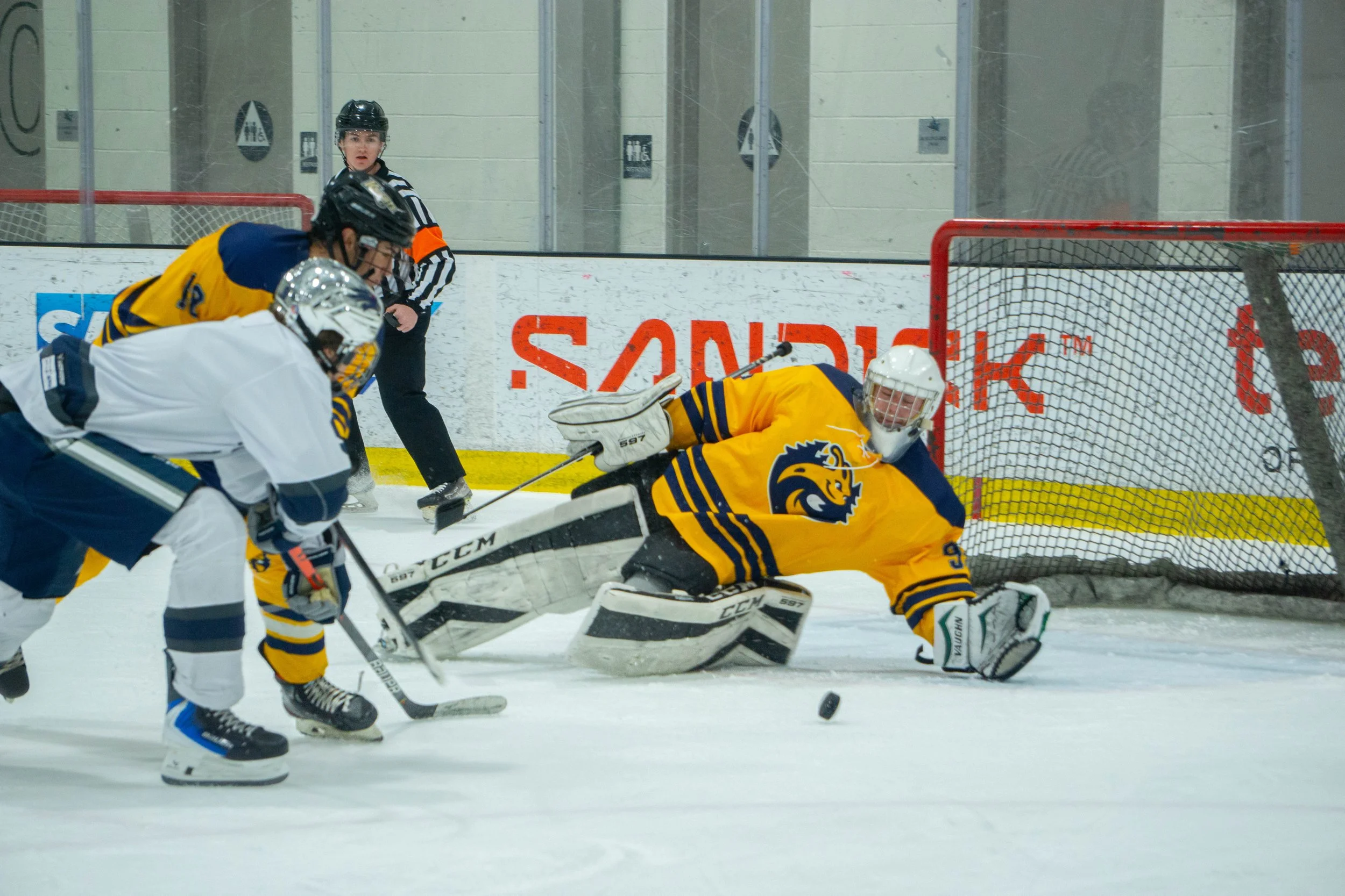 UCSC Ice Hockey (2026)