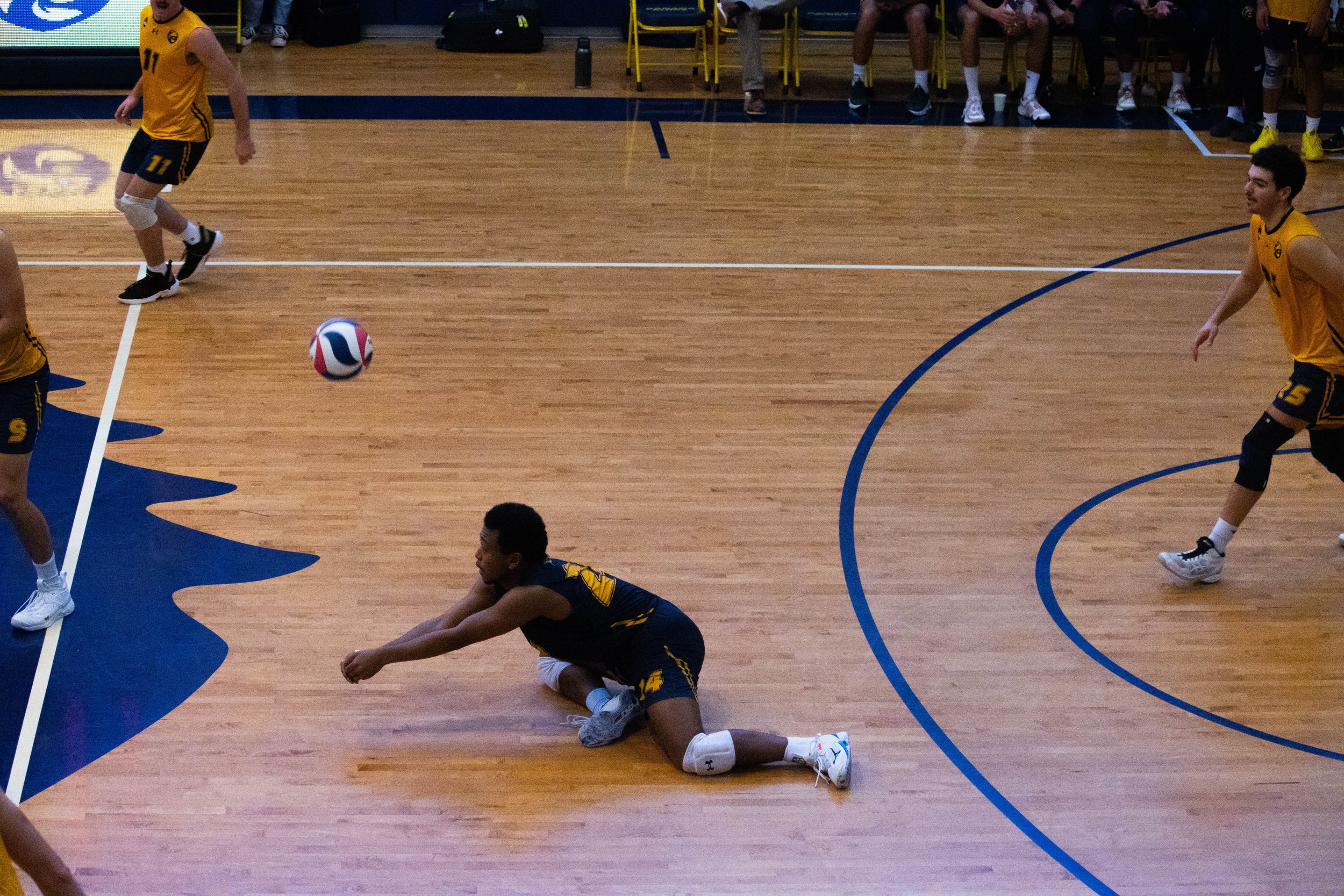 UCSC Men's Volleyball (2023)