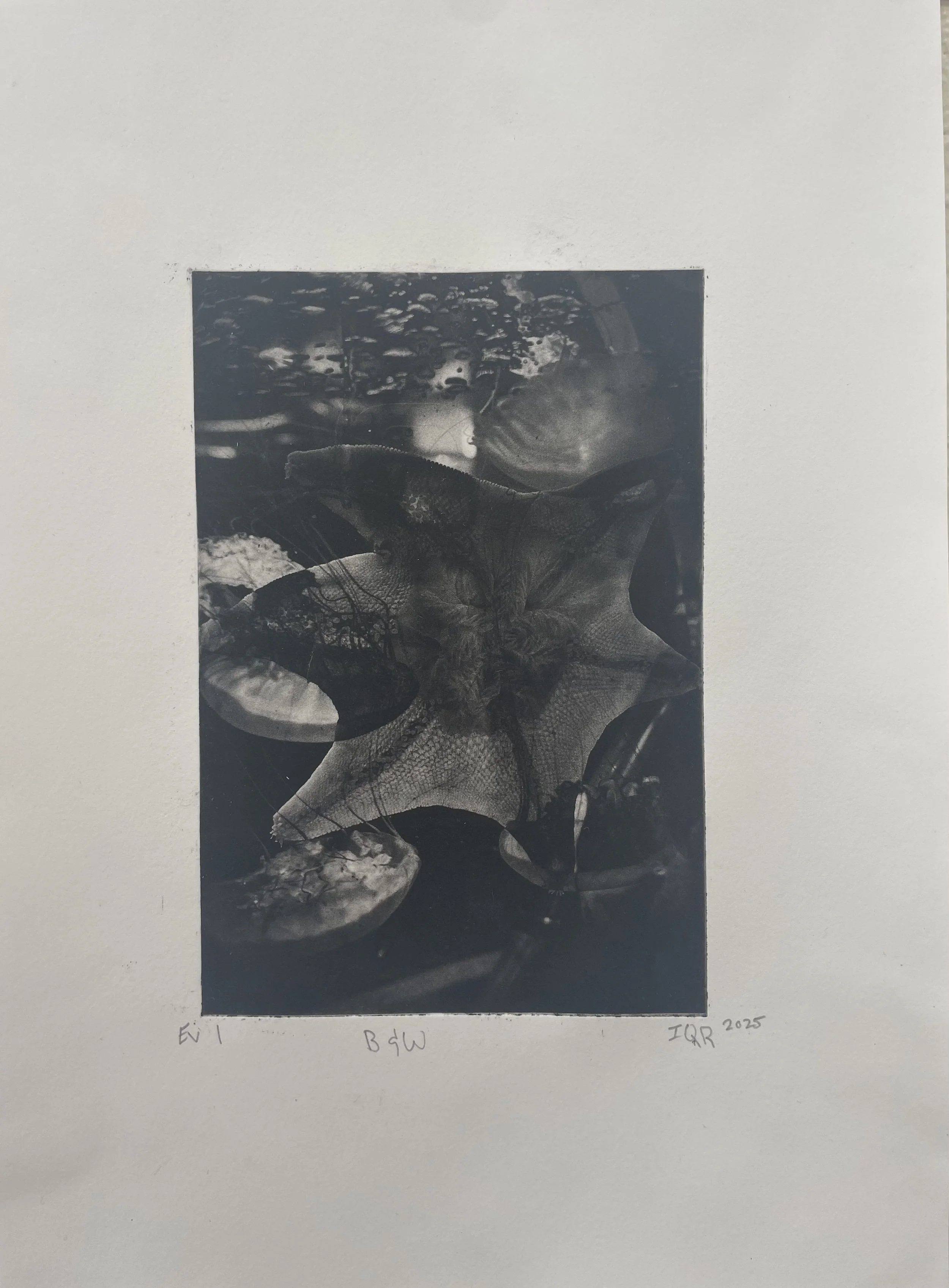 B&W Photopolymer of Sea Star (2025)