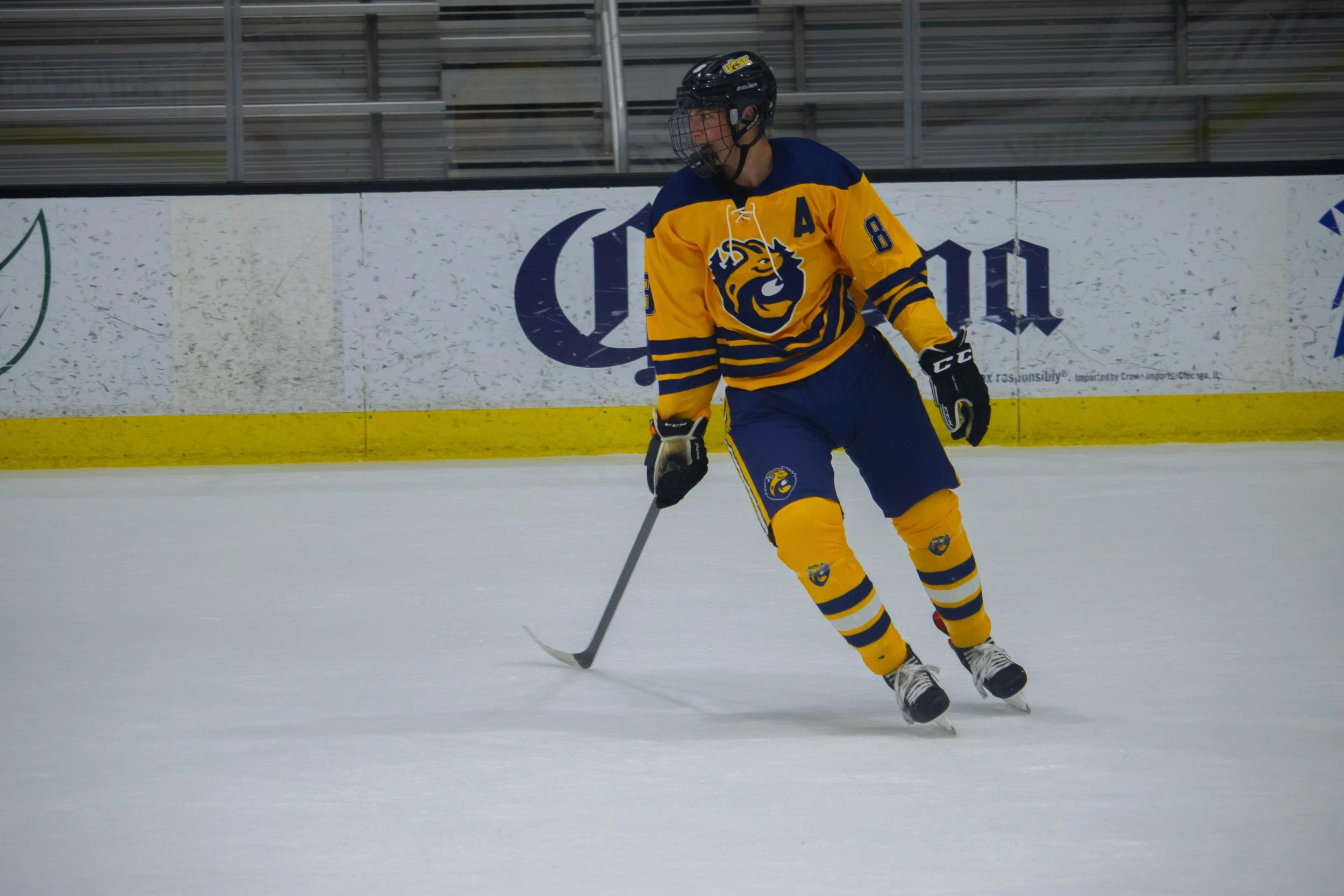 UCSC Ice Hockey (2025)