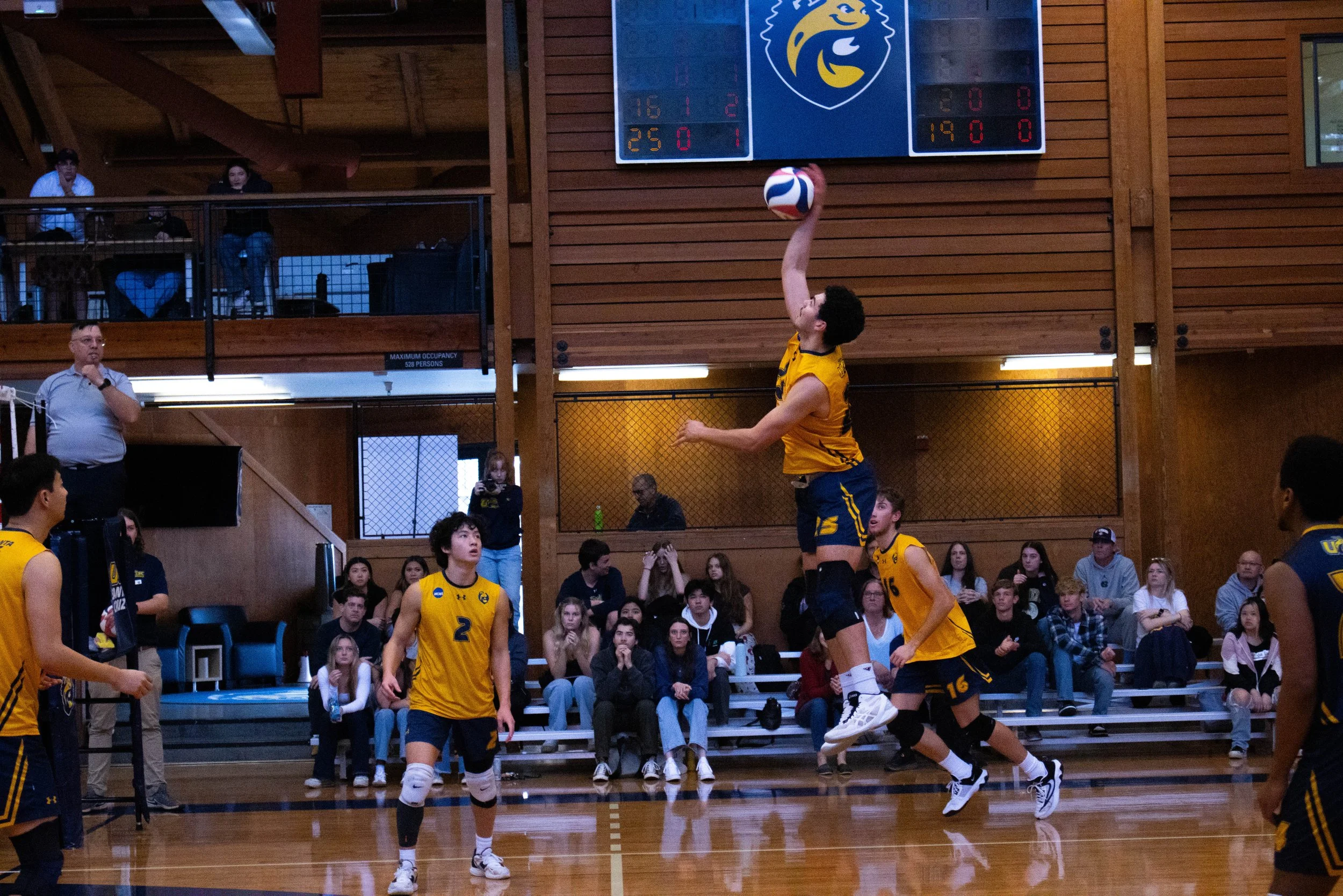 UCSC Men's Volleyball (2023)