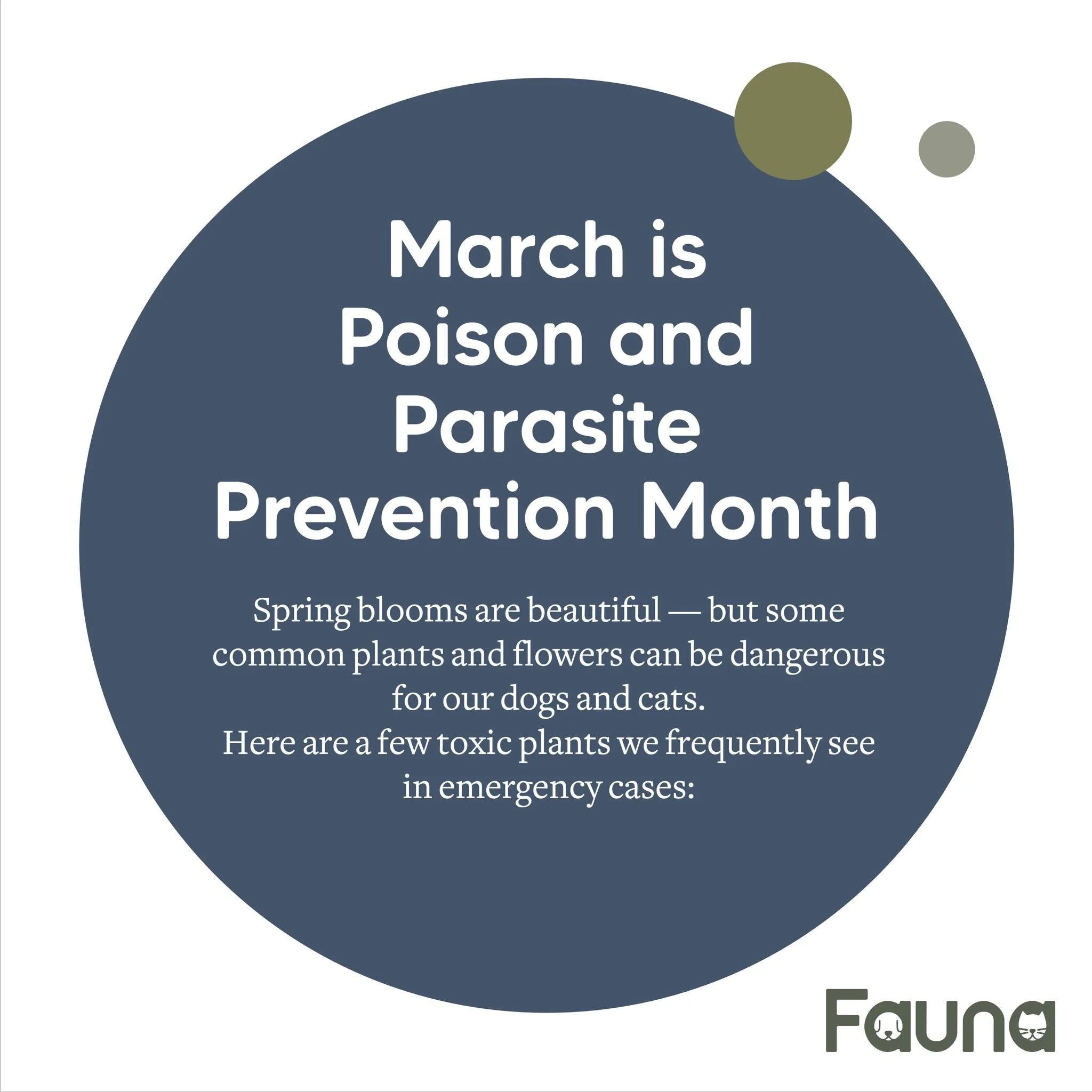 🌿🐾 Poisonous Plants &amp; Flowers: What Pet Owners Need to Know 🐾🌿

⚠️ Signs of plant poisoning may include:
&bull; Vomiting or diarrhoea
&bull; Drooling
&bull; Lethargy
&bull; Loss of appetite
&bull; Tremors or seizures

If you suspect your pet 