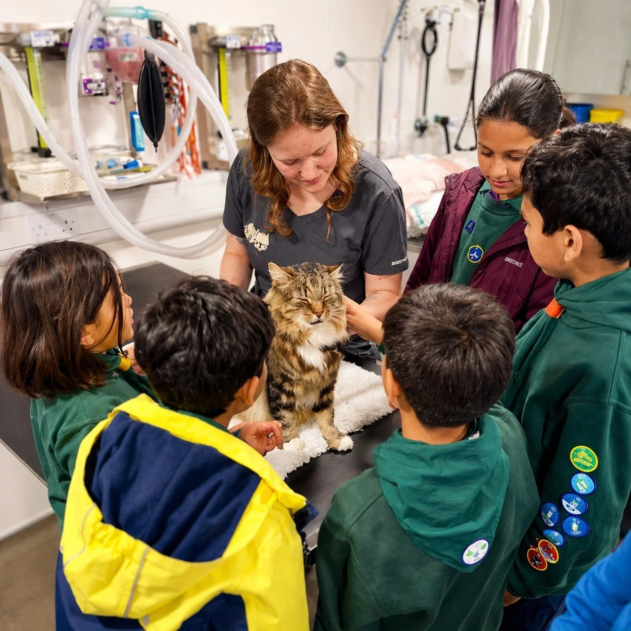 Future vets in the making 🐾
We loved welcoming the Northwood Cubs to Fauna yesterday evening for a behind-the-scenes look at what it takes to be a vet.

They listened to hearts, learnt how to bandage, explored X-rays and ultrasound, talked about how