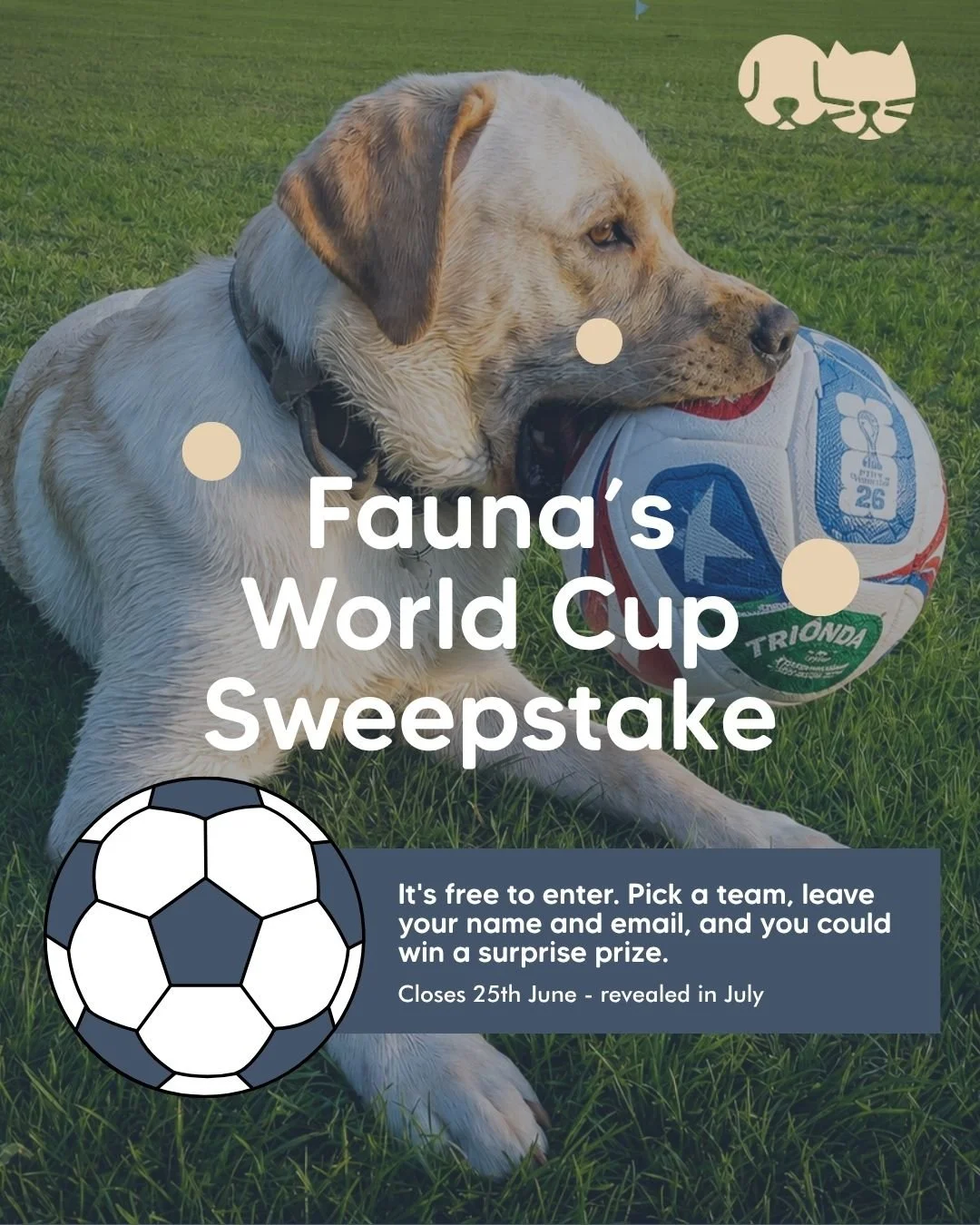 The World Cup is here! ⚽

Pick your winner, leave us your name and email and we'll be in touch in July about our surprise prize. 

Free to enter. 🐾

Sign up here - https://www.faunavets.co.uk/worldcup-sweepstake

Entries close 25th June.

#faunavets