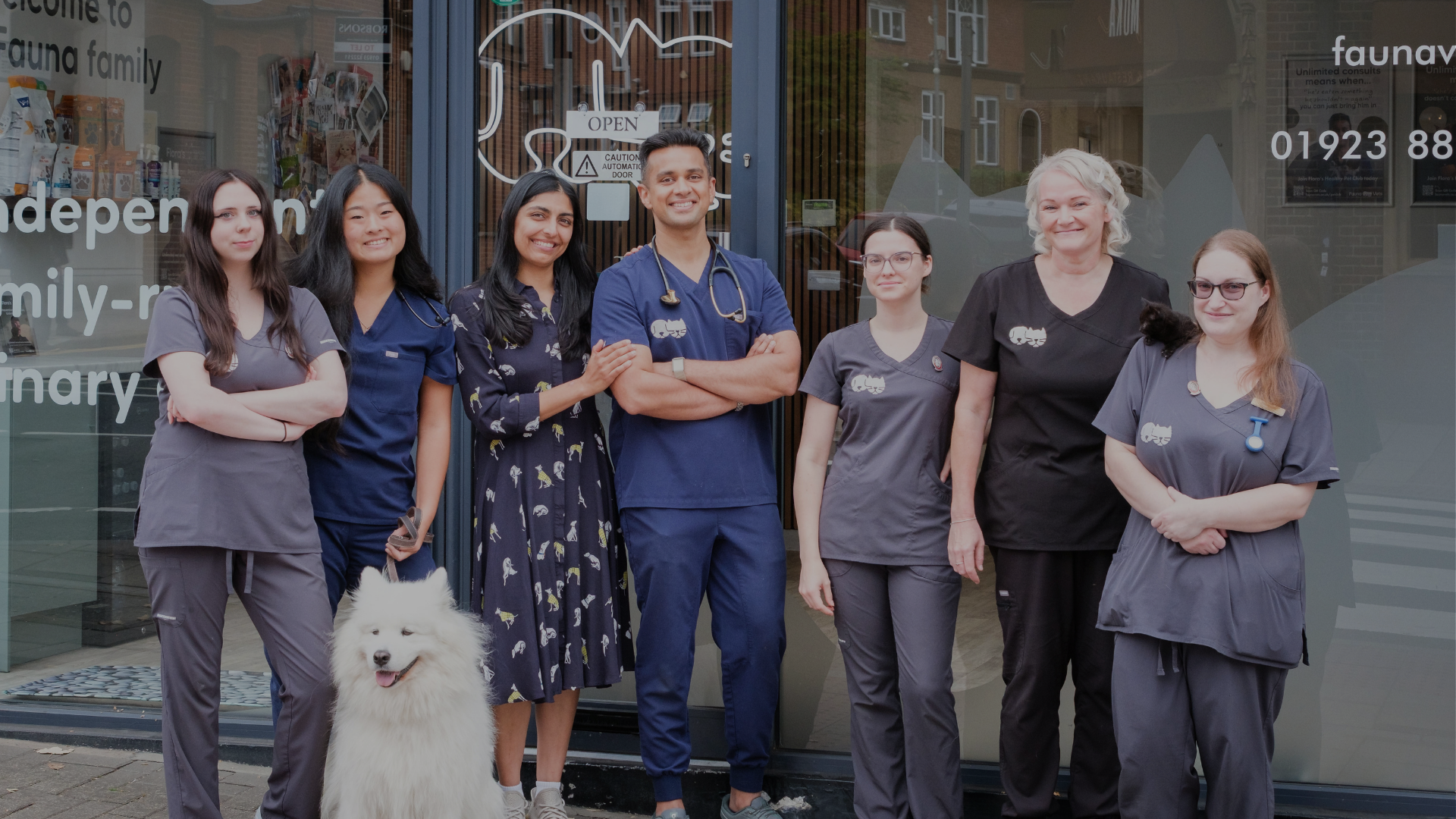 Veterinarian caring for dogs at Fauna Vets veterinary clinic
