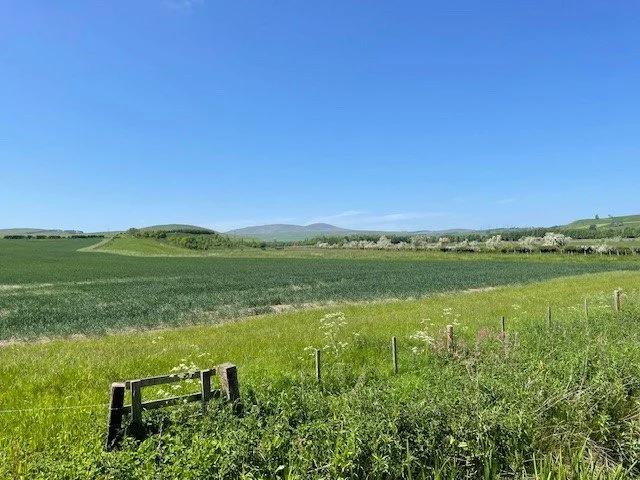 Cheviot Hills.jpg