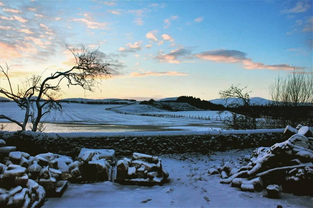 It's a cold start to the year here, and despite Covid-19 setbacks, we are still on track for our summer opening this year.