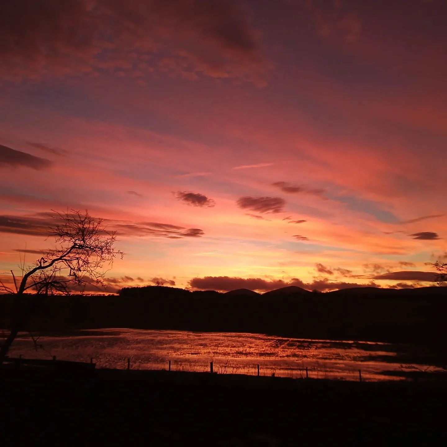 Gorgeous skies, immediate breathtaking views over the Cheviots from the comfort of Northumberland cottages.