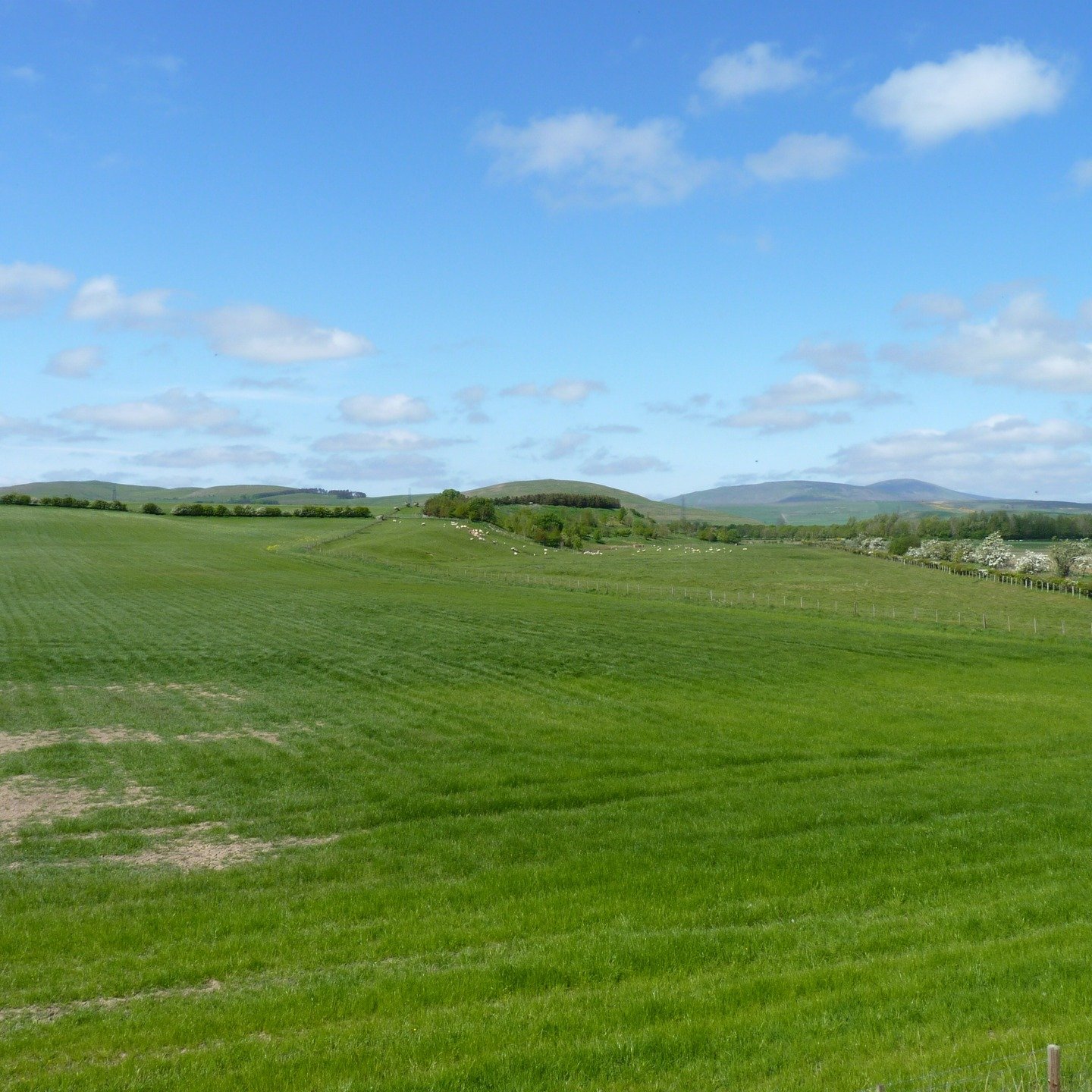 Fancy a break, there is nowhere better than Northumberland :-)
#northumberland #cottages #holidaytime
