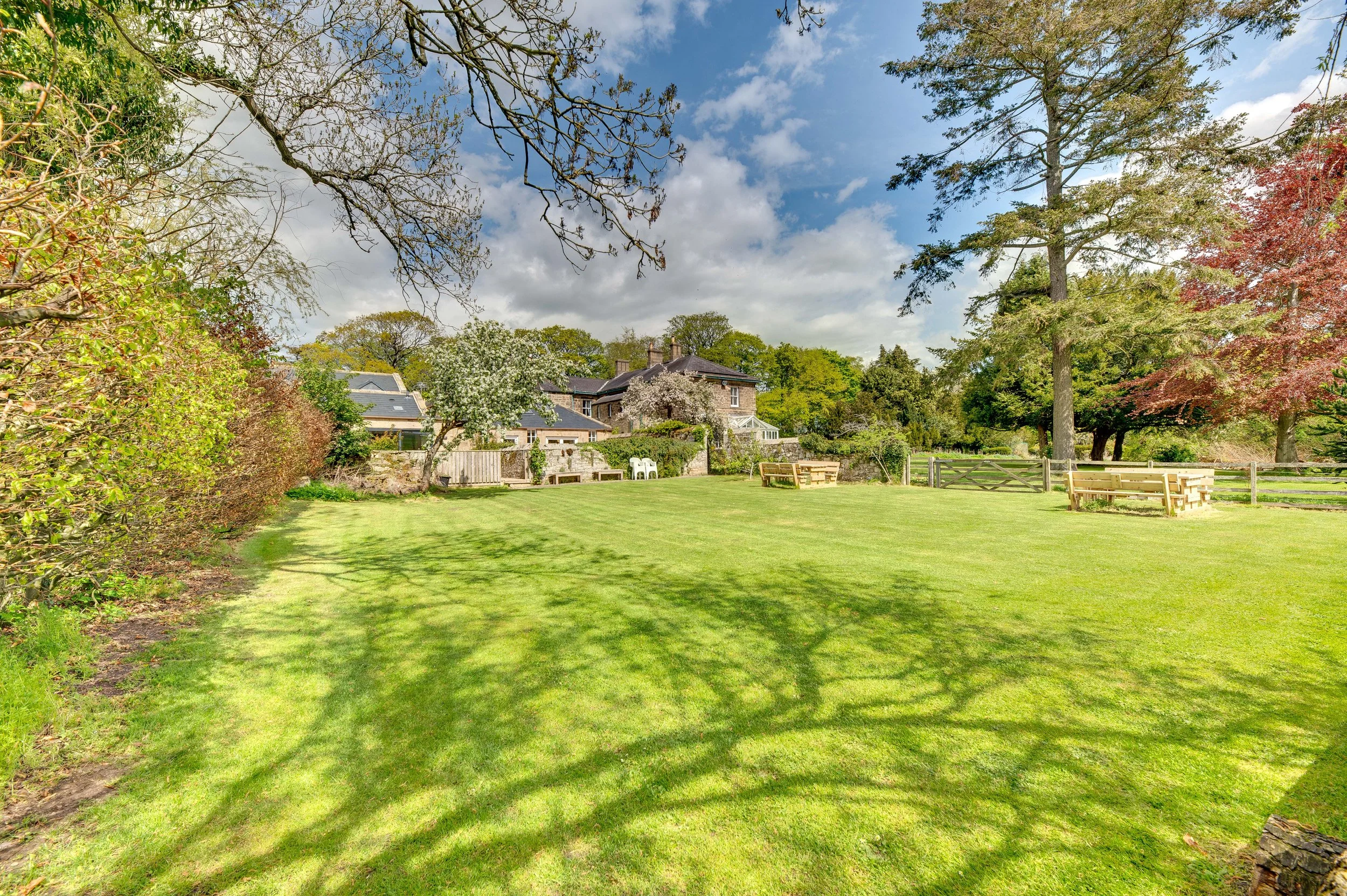 A spacious backyard with a well-maintained grassy lawn, surrounded by trees including flowering and leafless ones, with houses in the background under a partly cloudy sky.