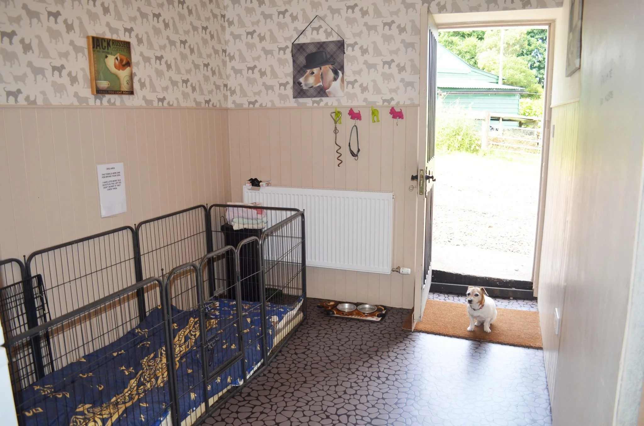 Dog Room