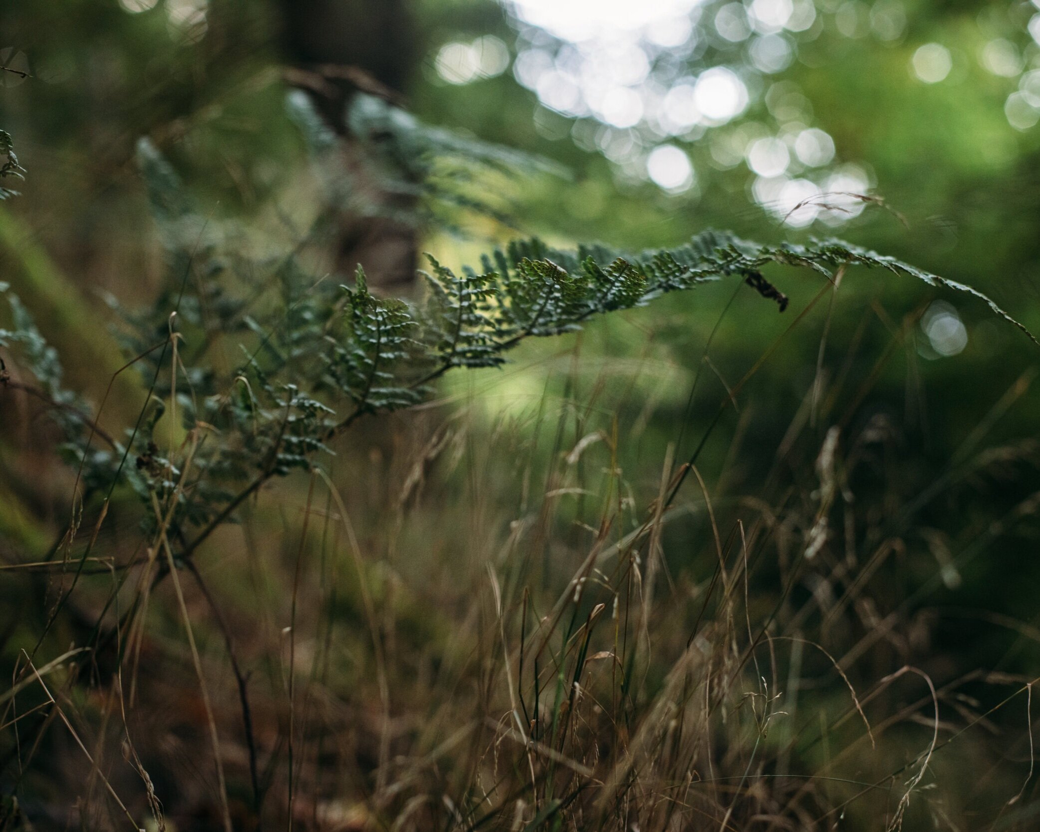 728A7515.jpg