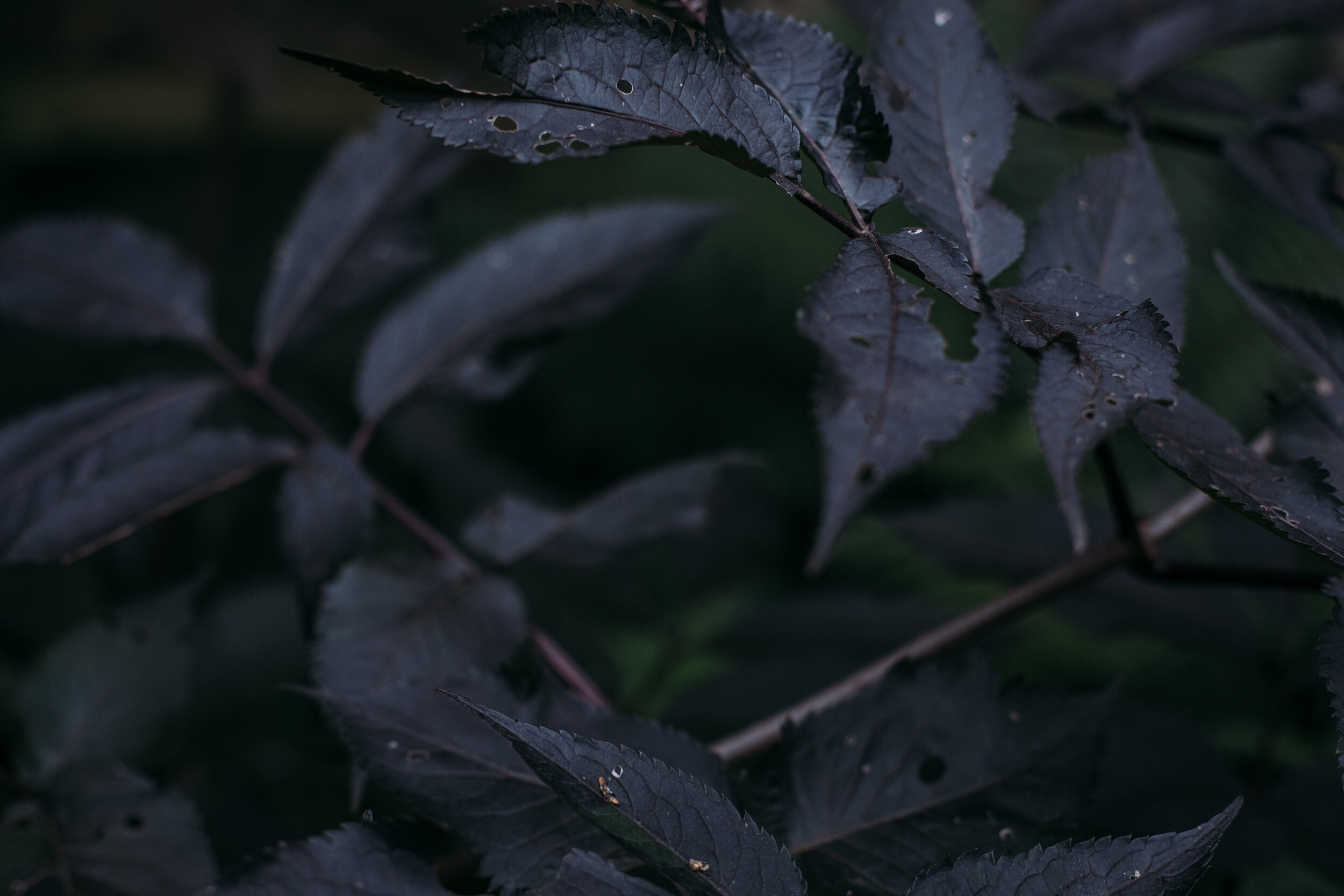 728A9023.jpg