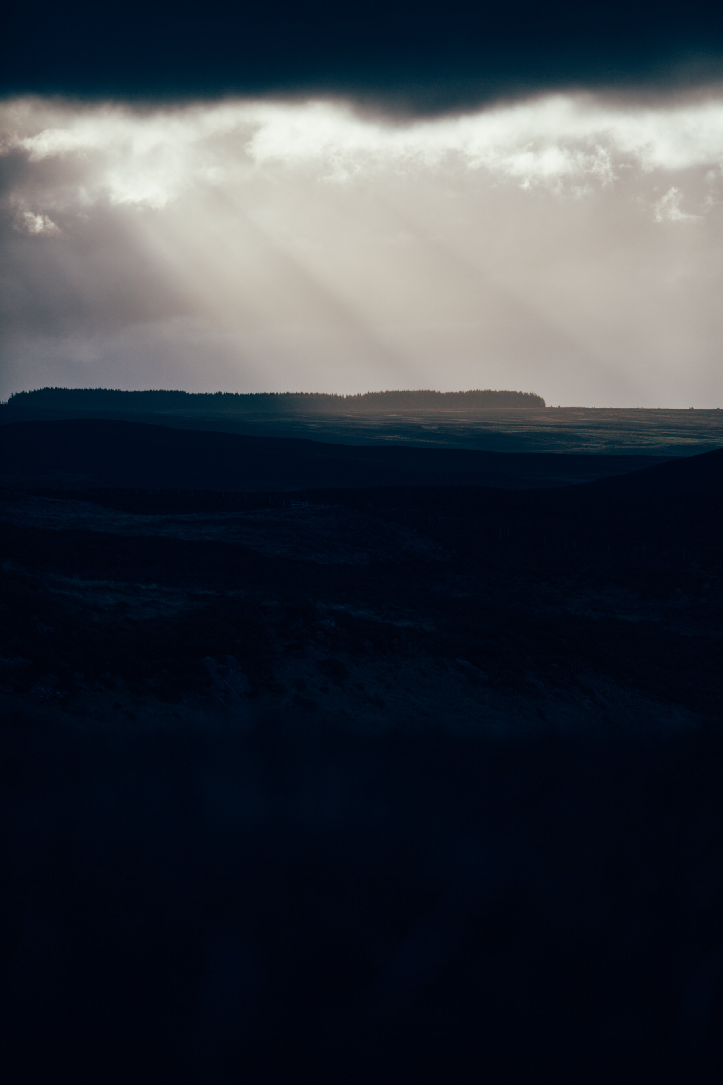 0F8A7929.jpg