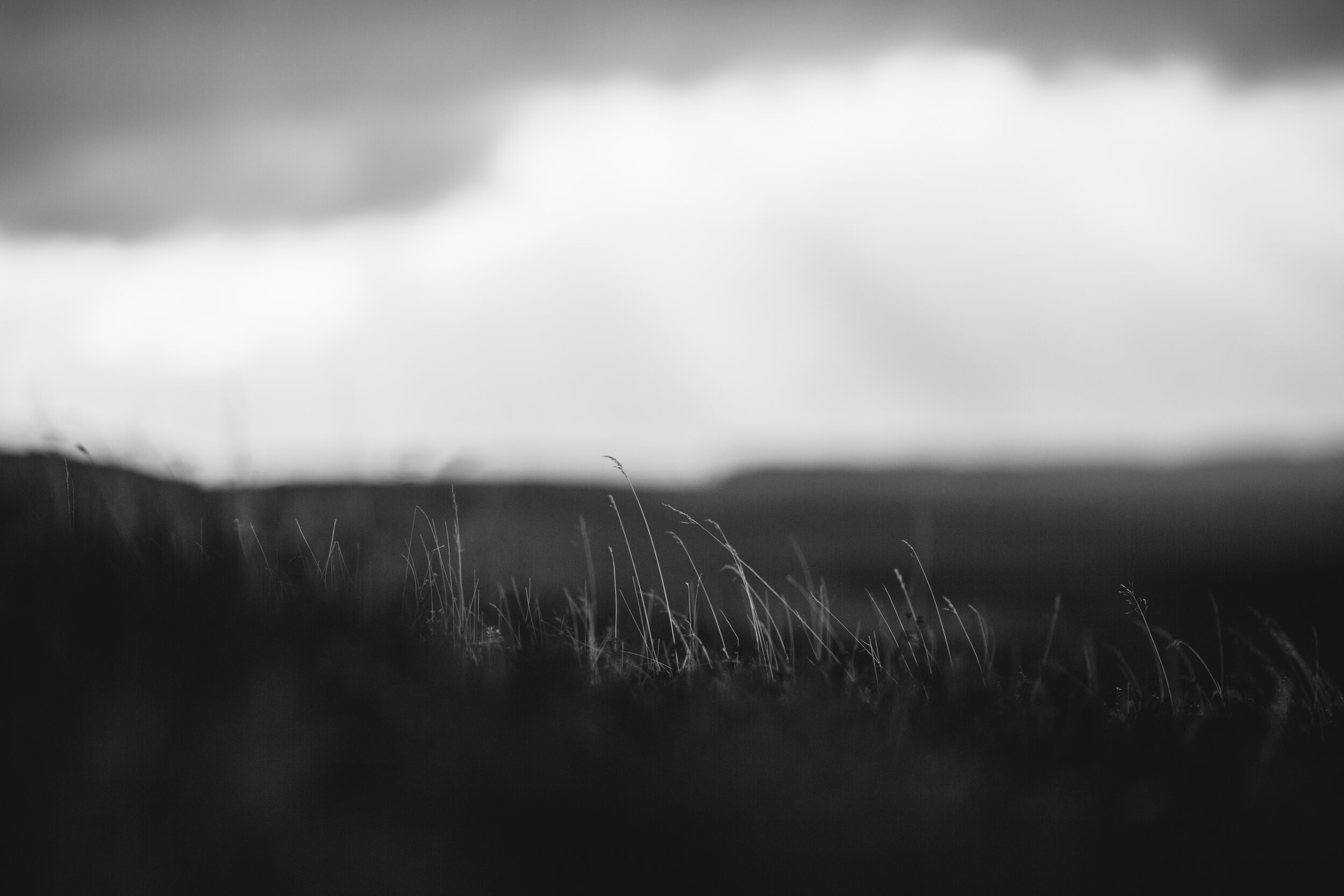 0F8A7912.jpg