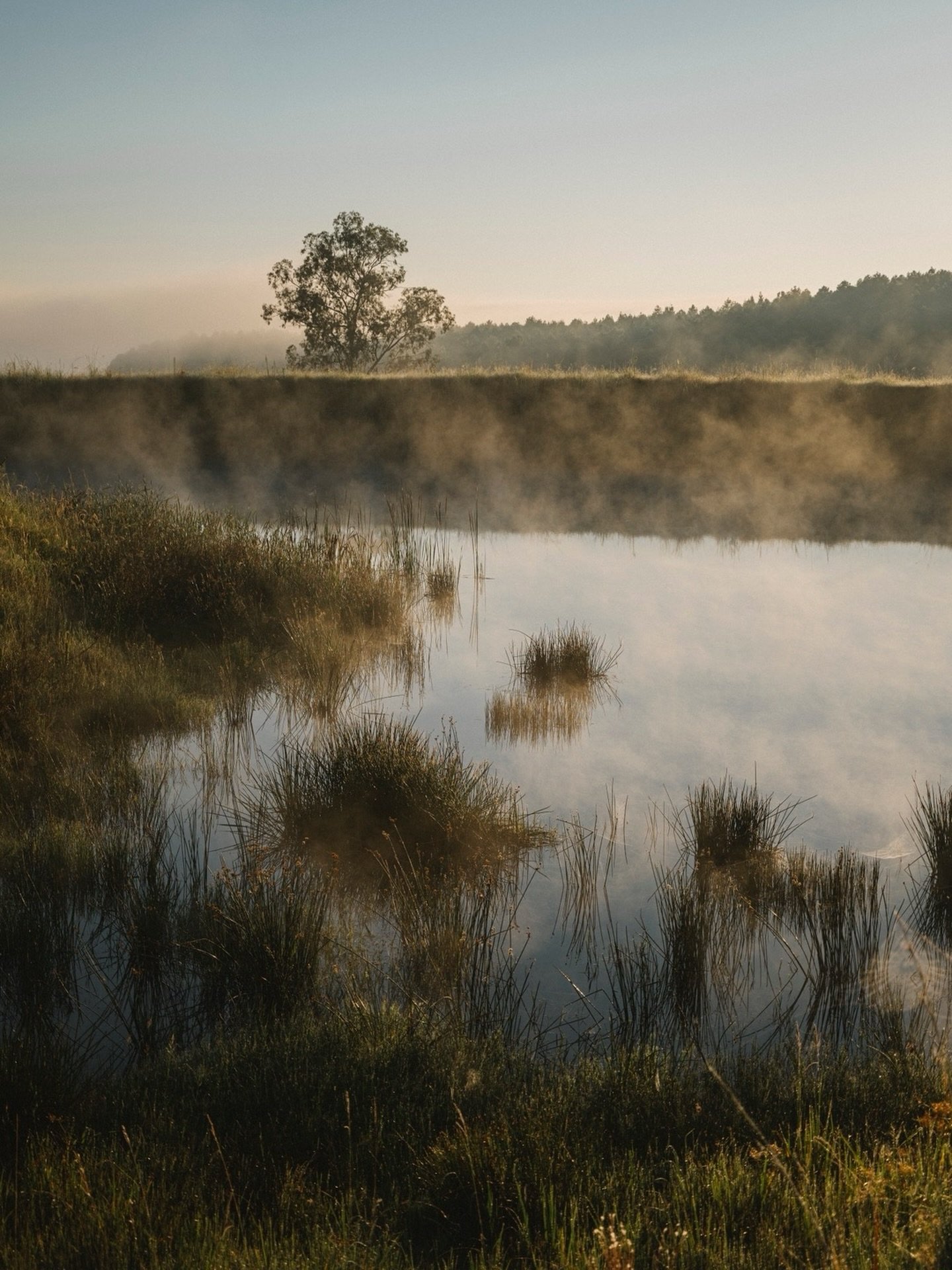 Warm winter mist over still water - a kind of morning that rewards showing up early.
⠀⠀⠀⠀⠀⠀⠀⠀⠀