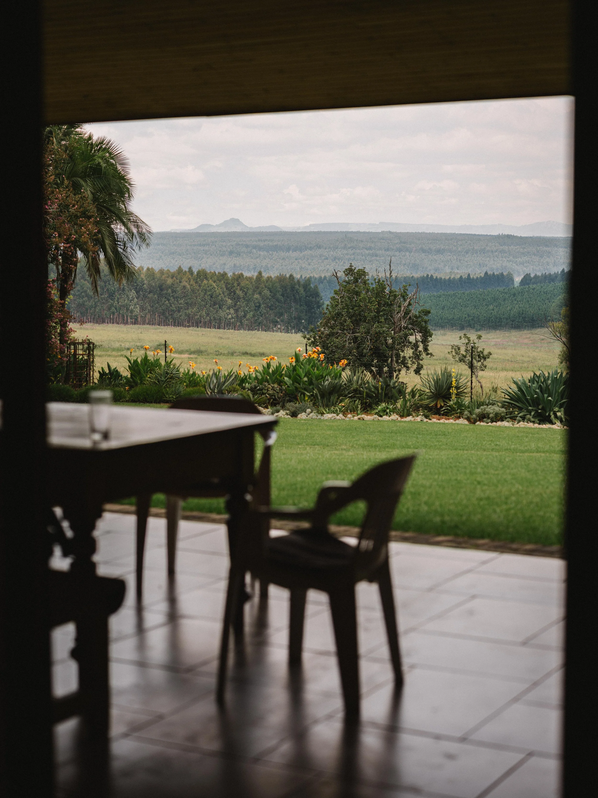 Spingbok Deutsch-590.jpeg