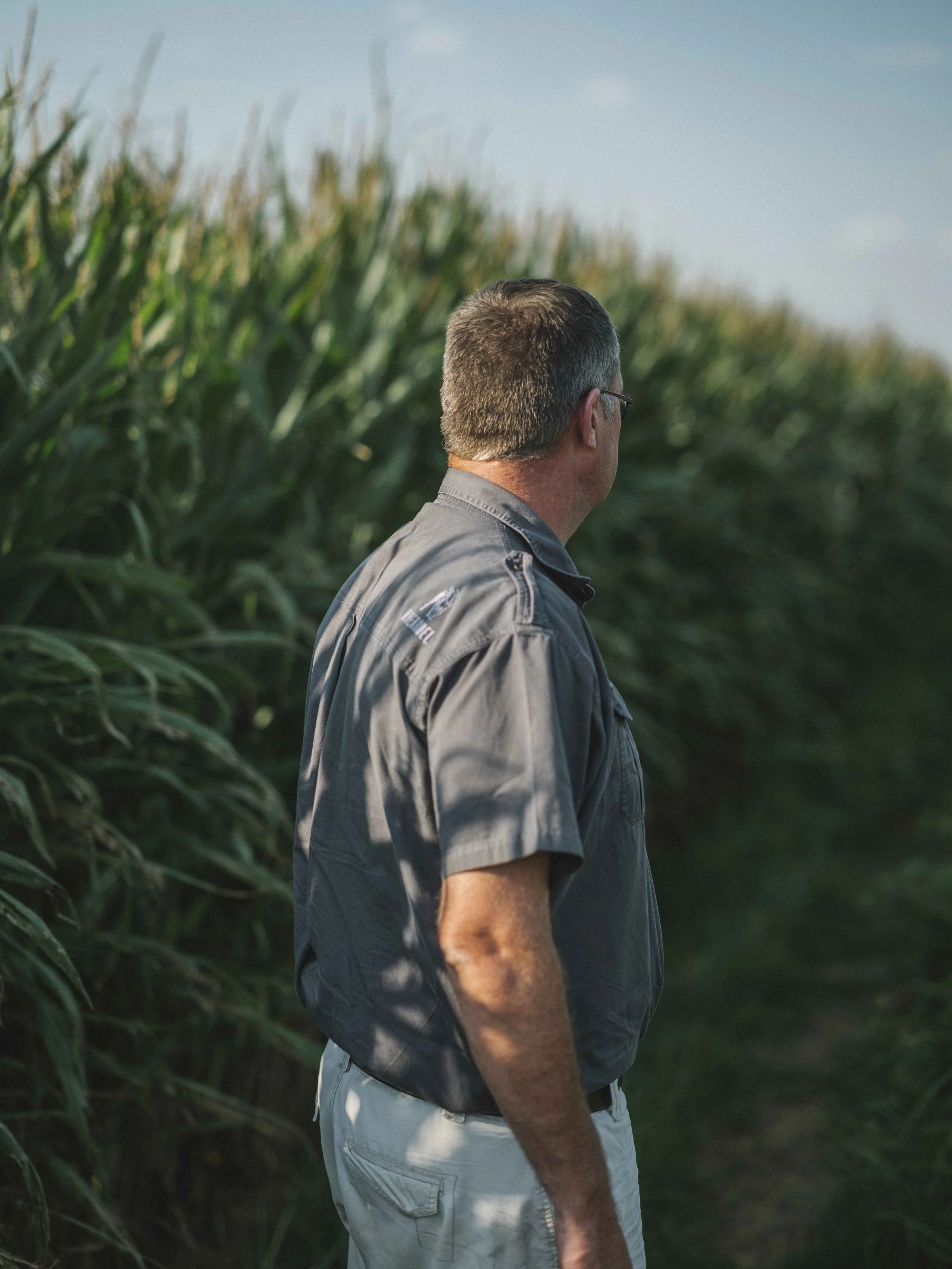 Sixth-generation farmer, Heino Heisterman inspecting his maize fields. Agriculture sustains the Springbok Deutsch, they have a deep knowledge and connection to the land. St Helena Bauernhof, Mabola, Mpumalanga.