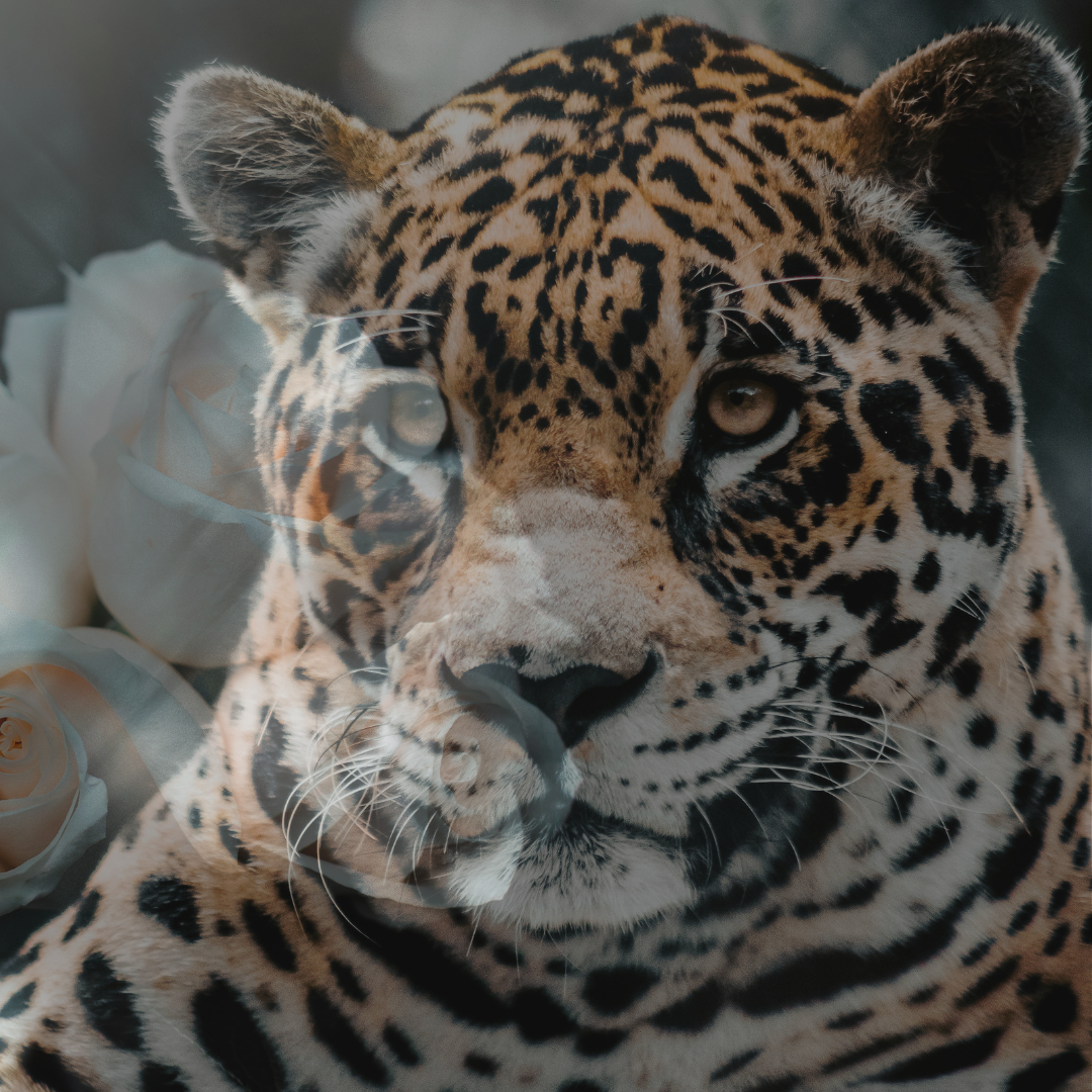 Copy of Grey Minimal Simple Carousel Header Title Hair Care Instagram Post.png