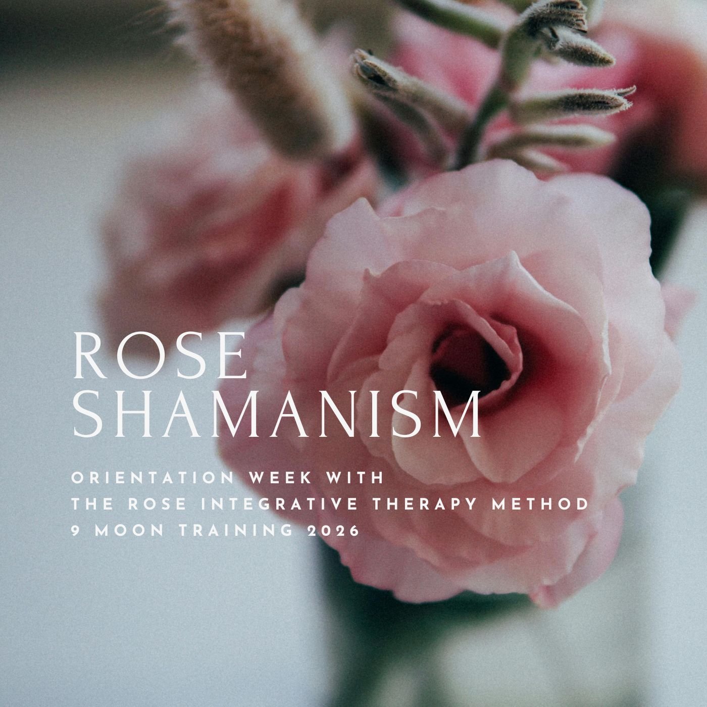 Capa de Álbum Moderno Minimalista (9).jpg