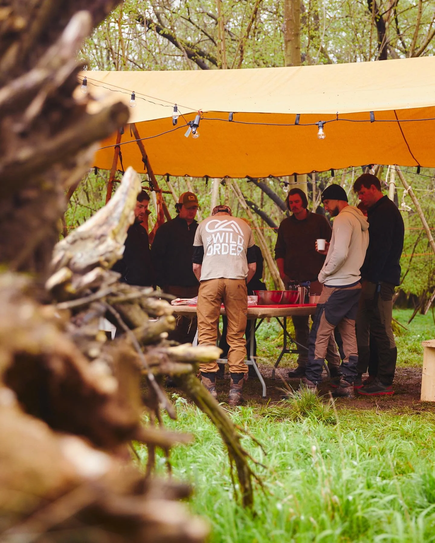 hunting course in south of england.jpeg