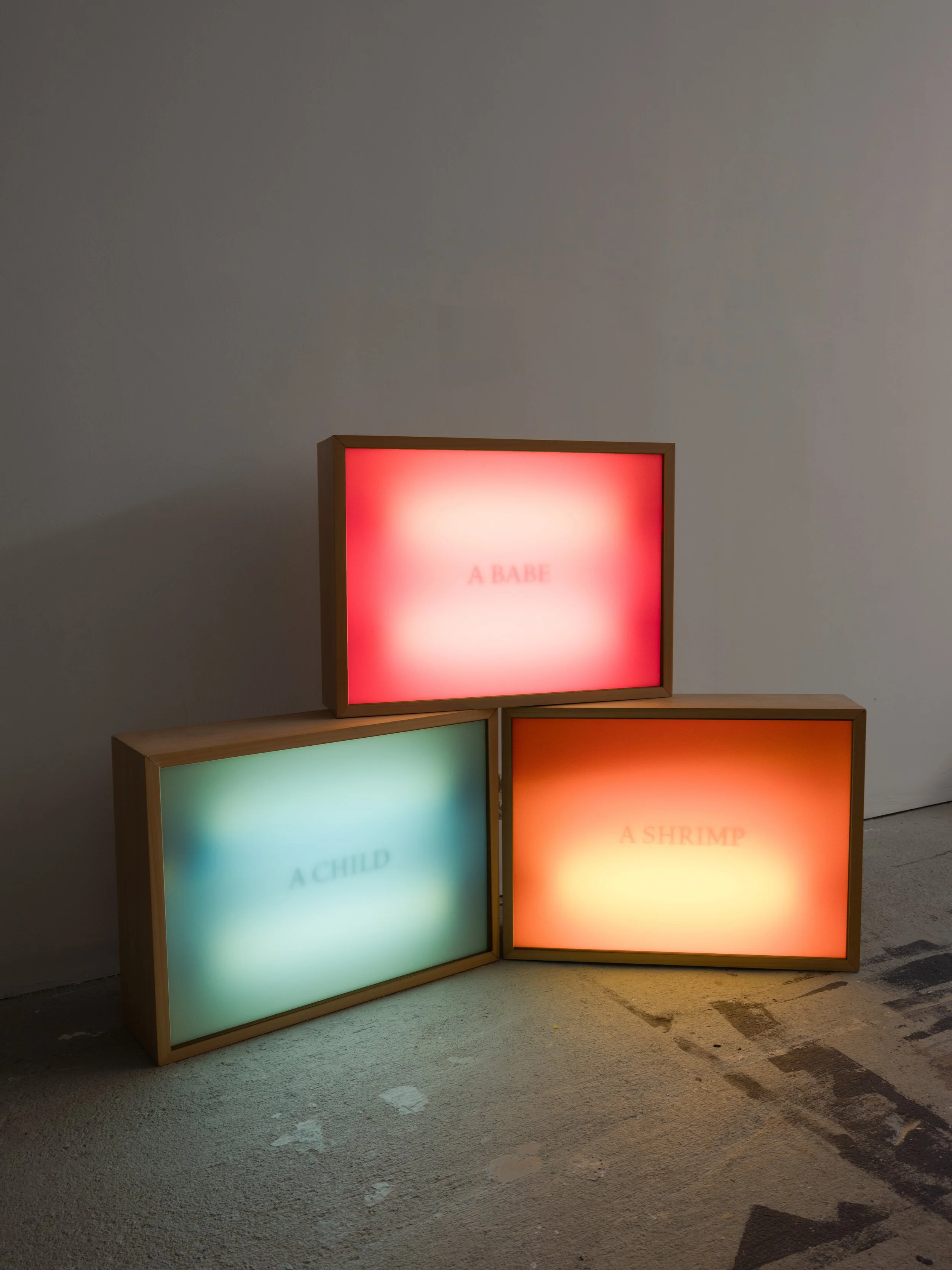 Light Boxes, 2004. Maple and Plexiglas box with colored gel and fluorescent light bulbs. Each box 24"x 36" x 6"