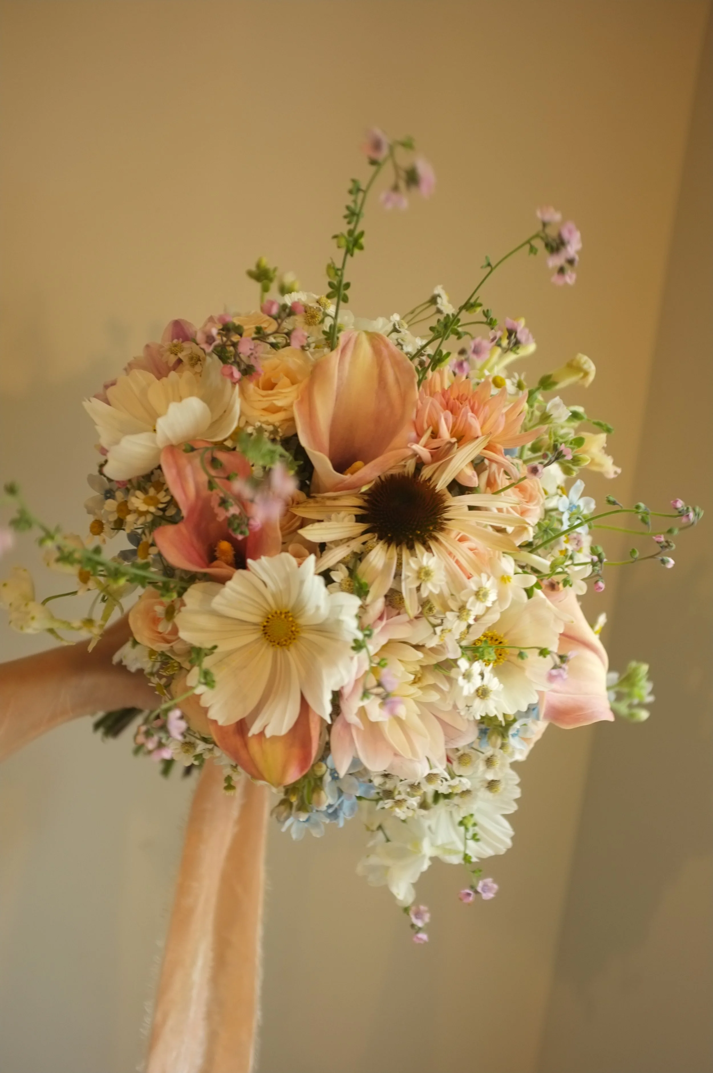DSCF6850.JPG