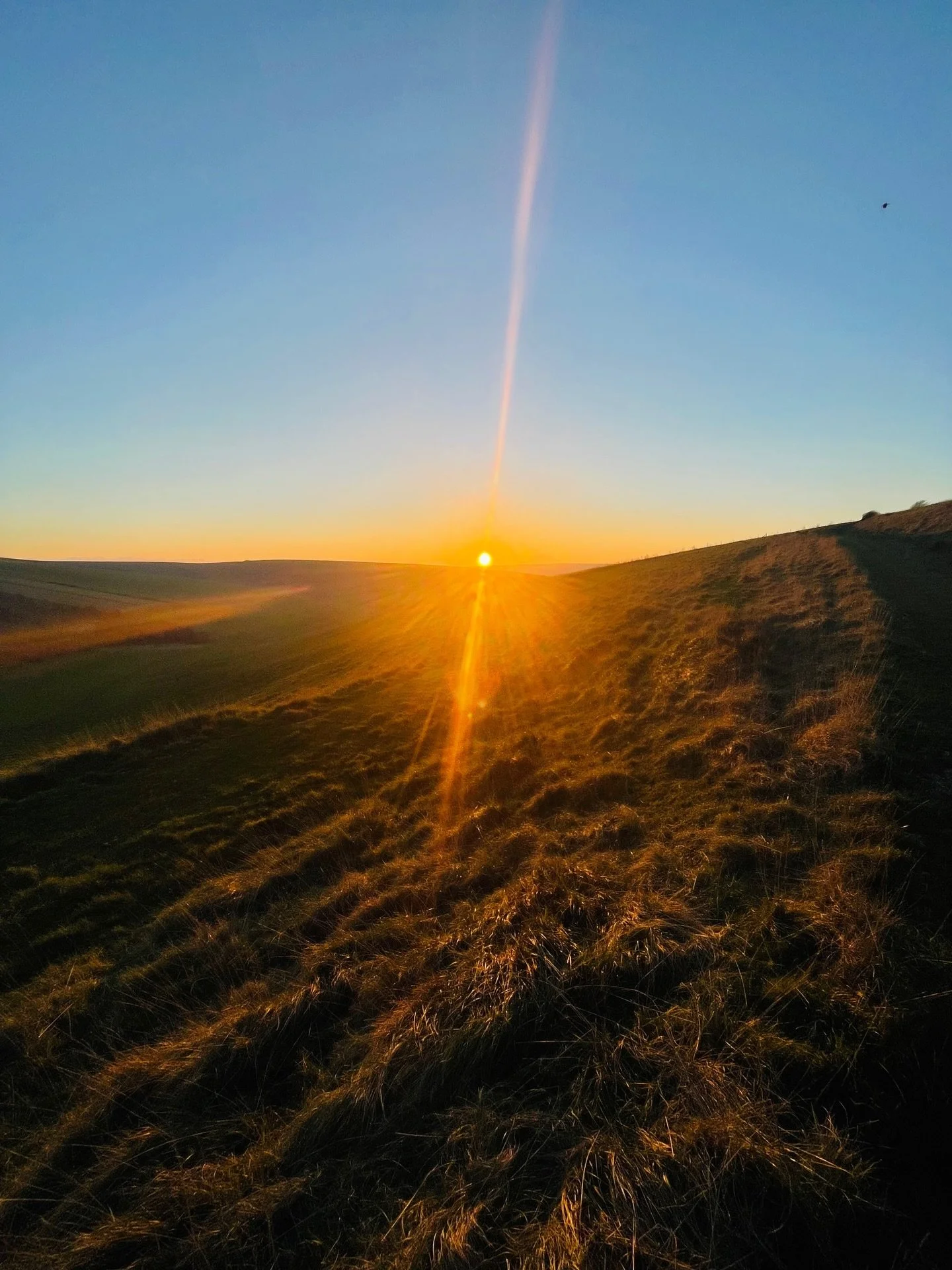 Solstice means to stand still. To be. The winter season holds the restful, introspective yin energy, the watery depths of darkness that mark the end that is also the beginning. The darkness of Yin is illuminated by the speck of light it holds, the se