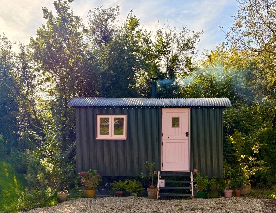 Wildish Healing ~ Reiki, Sound Therapy, or Mentoring Sessions